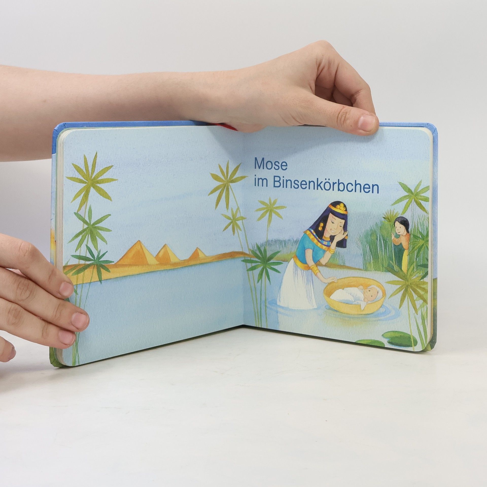 Rica Rica erzählt: Die Bibel: Geschichten aus dem Alten Testament
