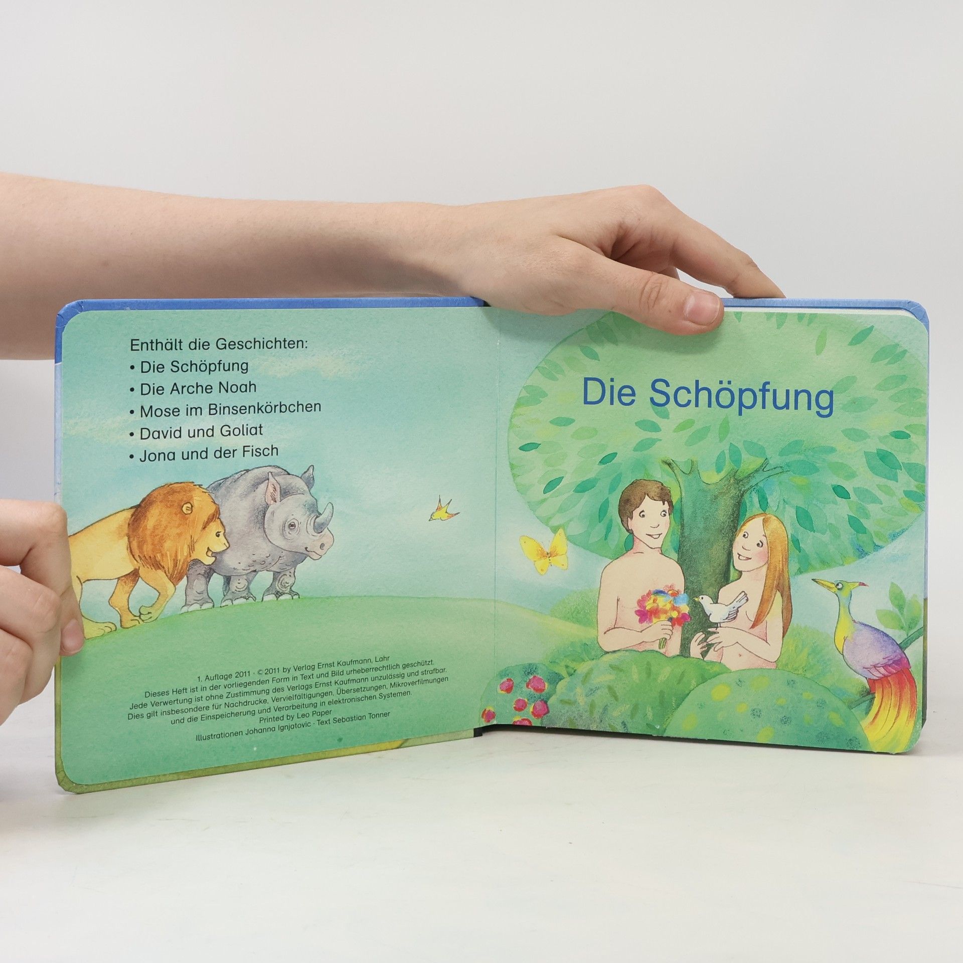 Rica Rica erzählt: Die Bibel: Geschichten aus dem Alten Testament