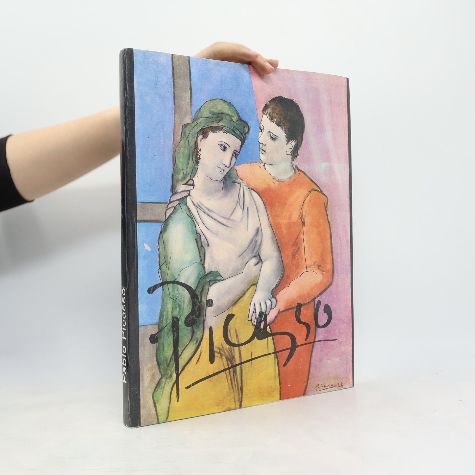 Einleitung von Jürgen Gustav Pablo Picasso - Gemälde und Grafik