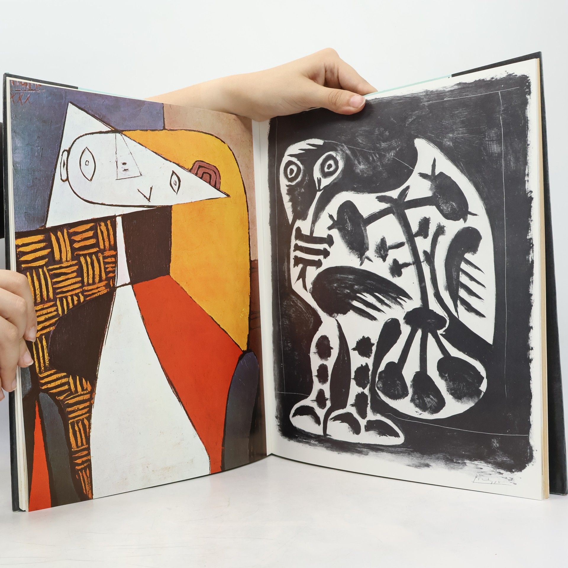 Einleitung von Jürgen Gustav Pablo Picasso - Gemälde und Grafik