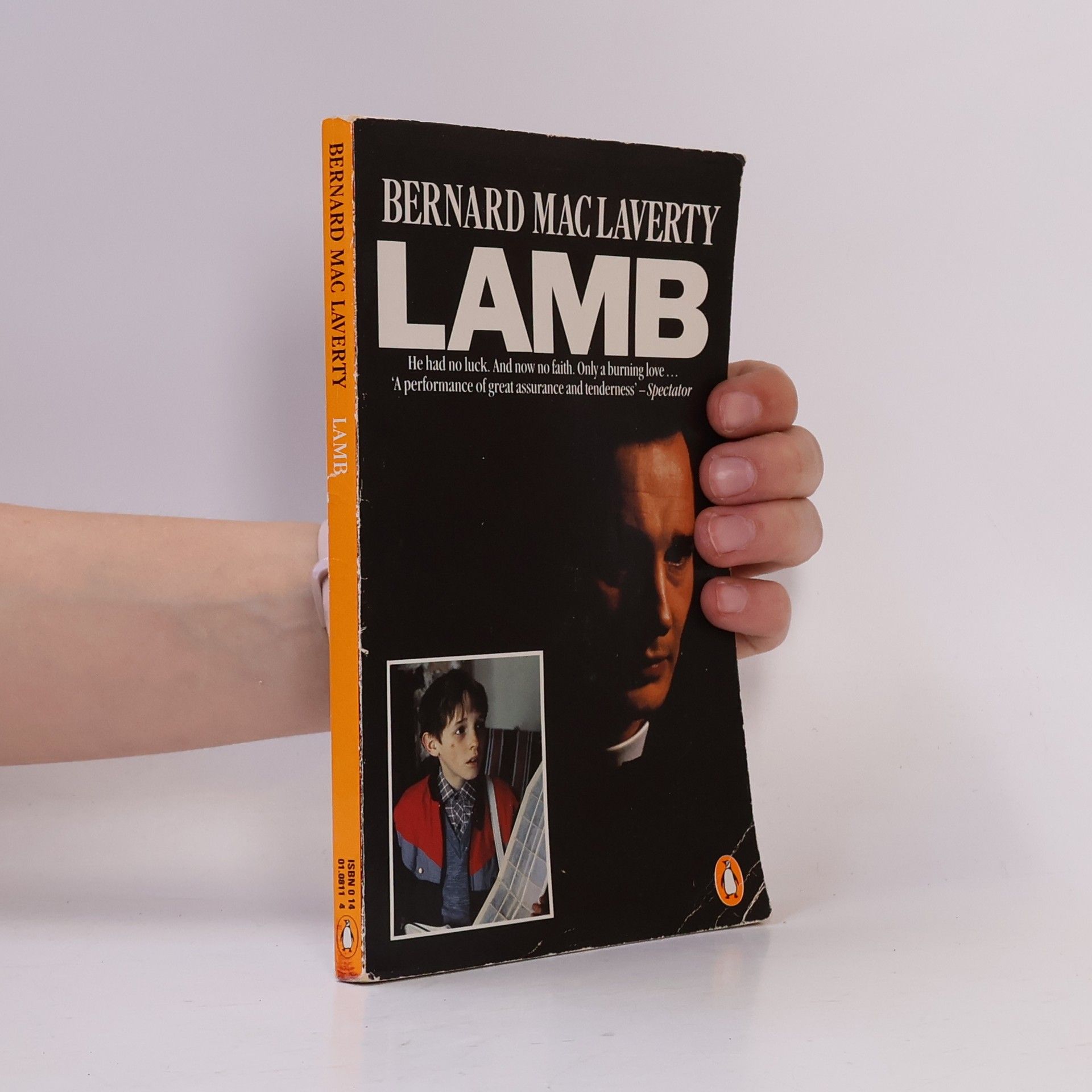 Bernard Mac Laverty Lamb