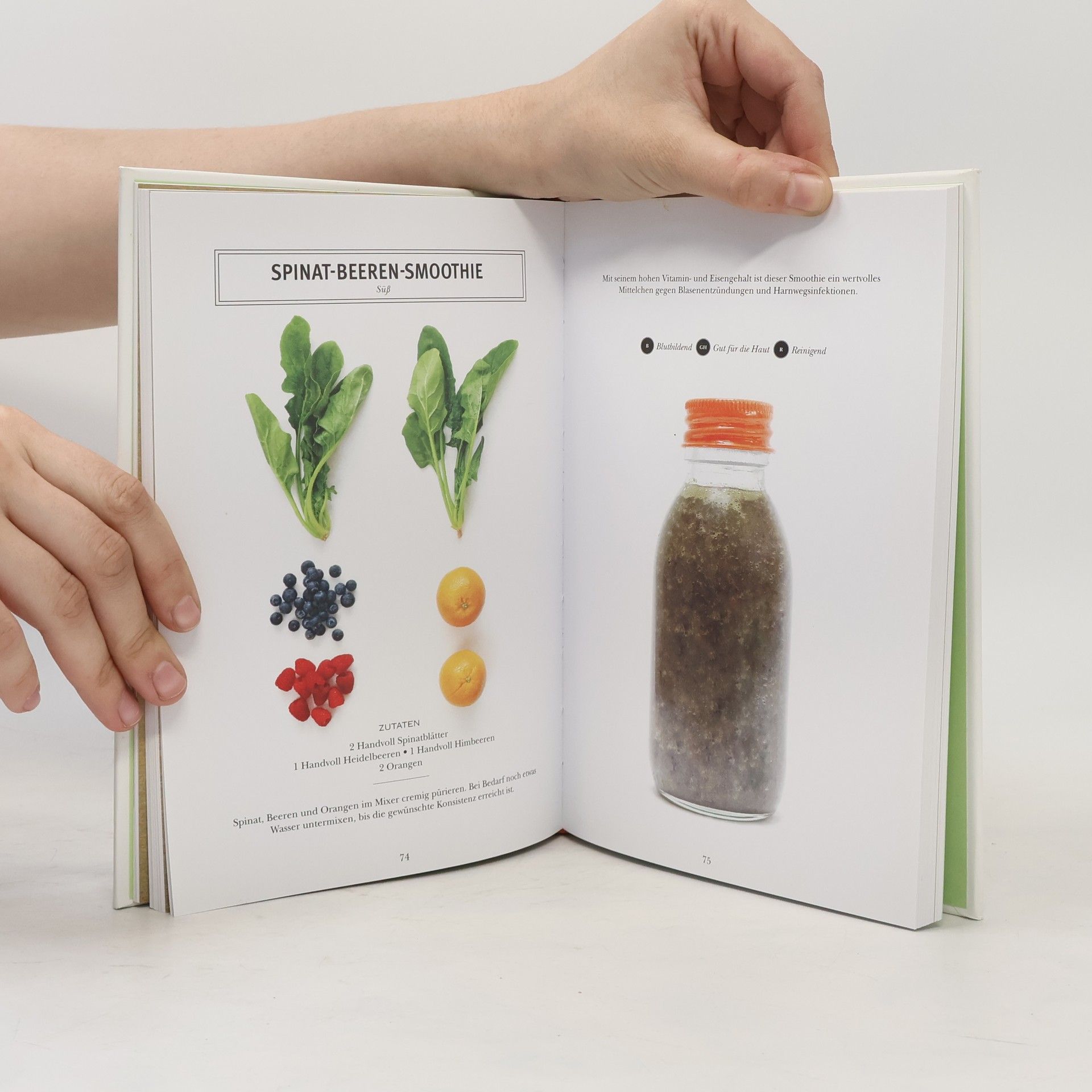 Fern Green Grüne Smoothies: Die Energiebooster