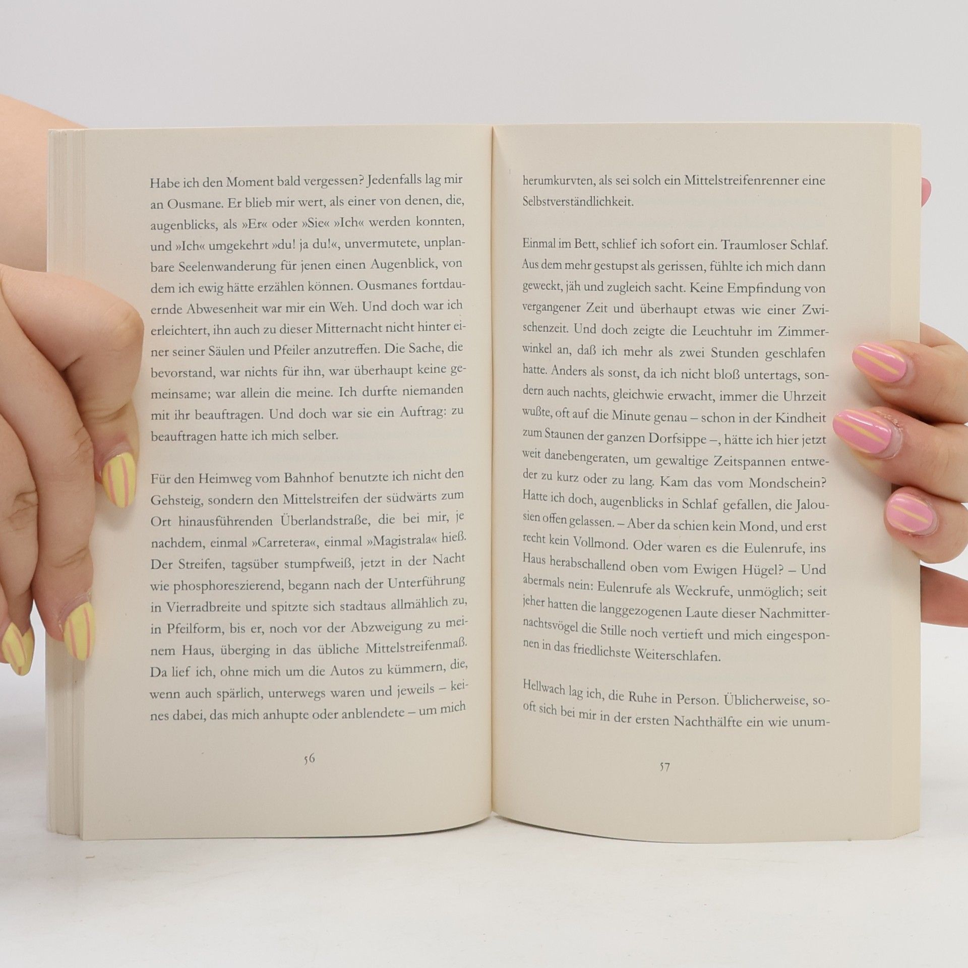 Peter Handke Das zweite Schwert