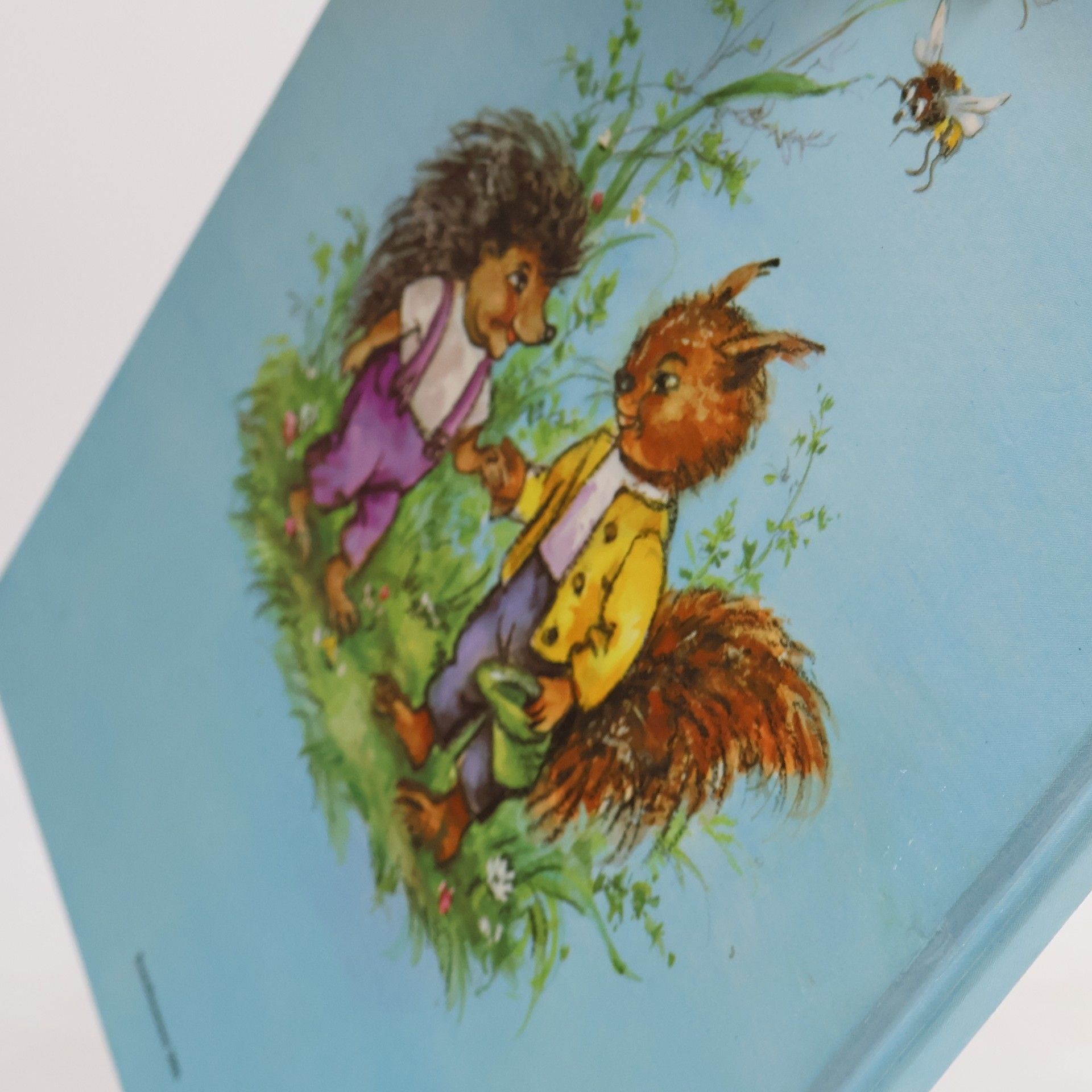 Lore Hummel Eichhörnchens Reise nach Dripsdrill