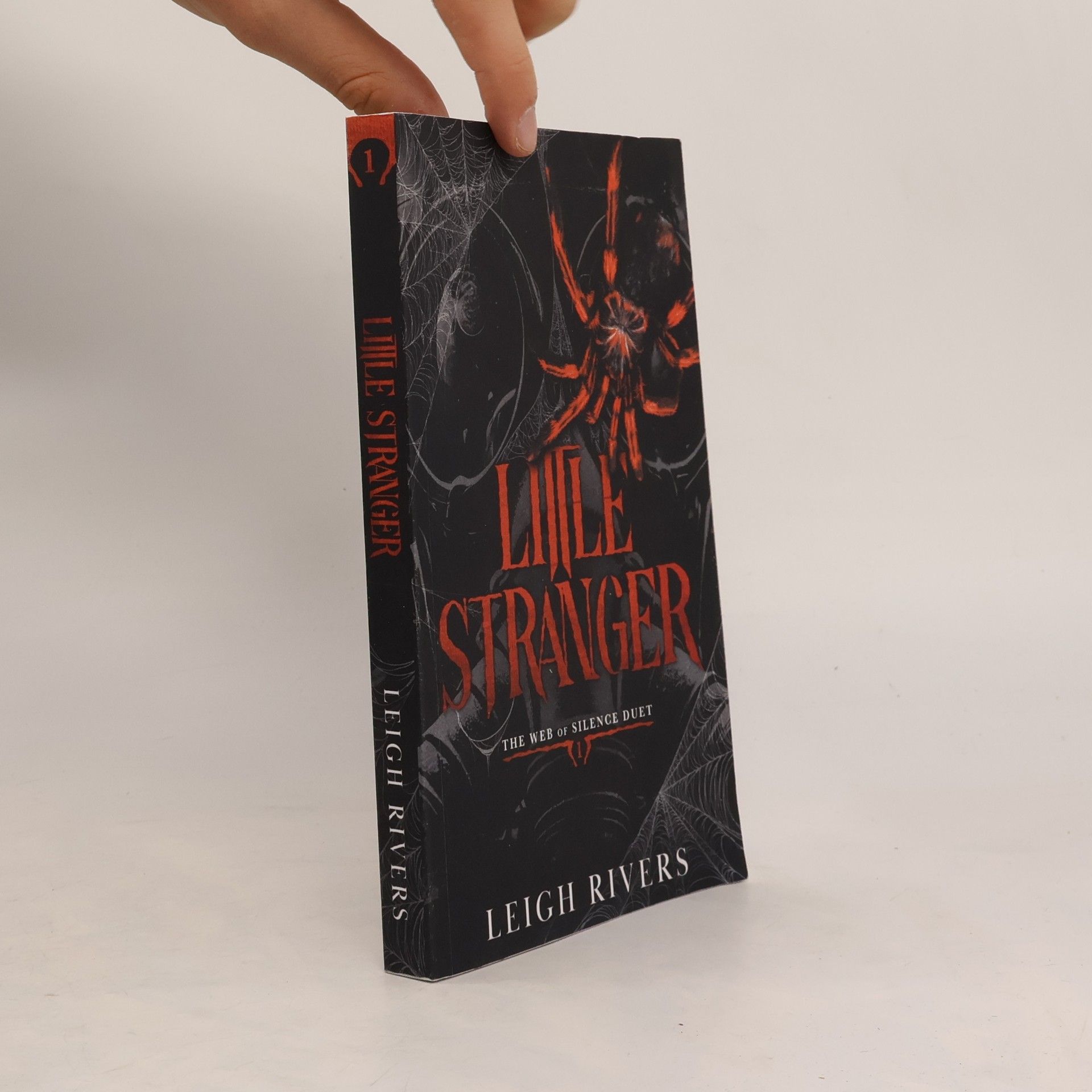 Leigh Rivers Little Stranger