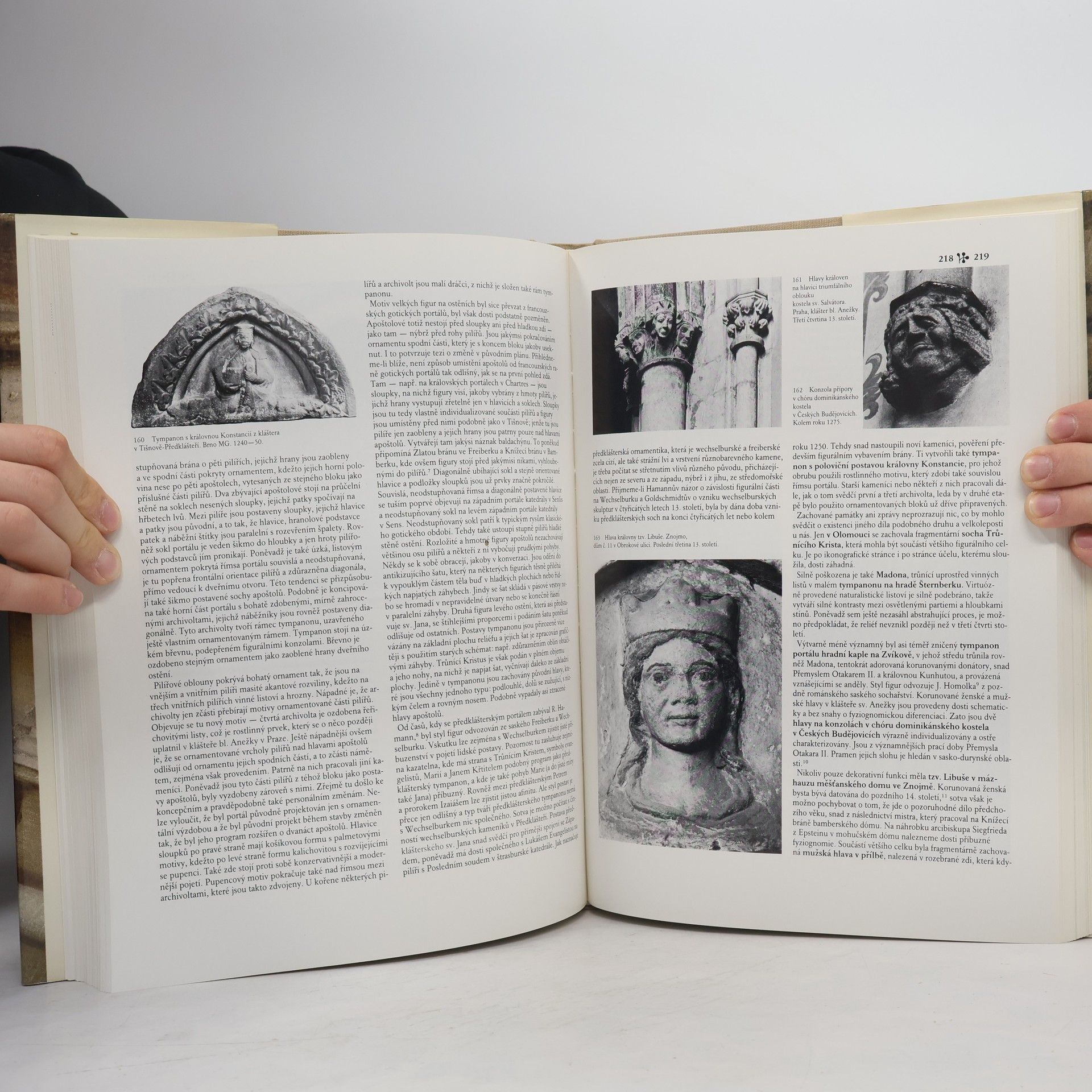 Various authors Dějiny českého výtvarného umění I/1