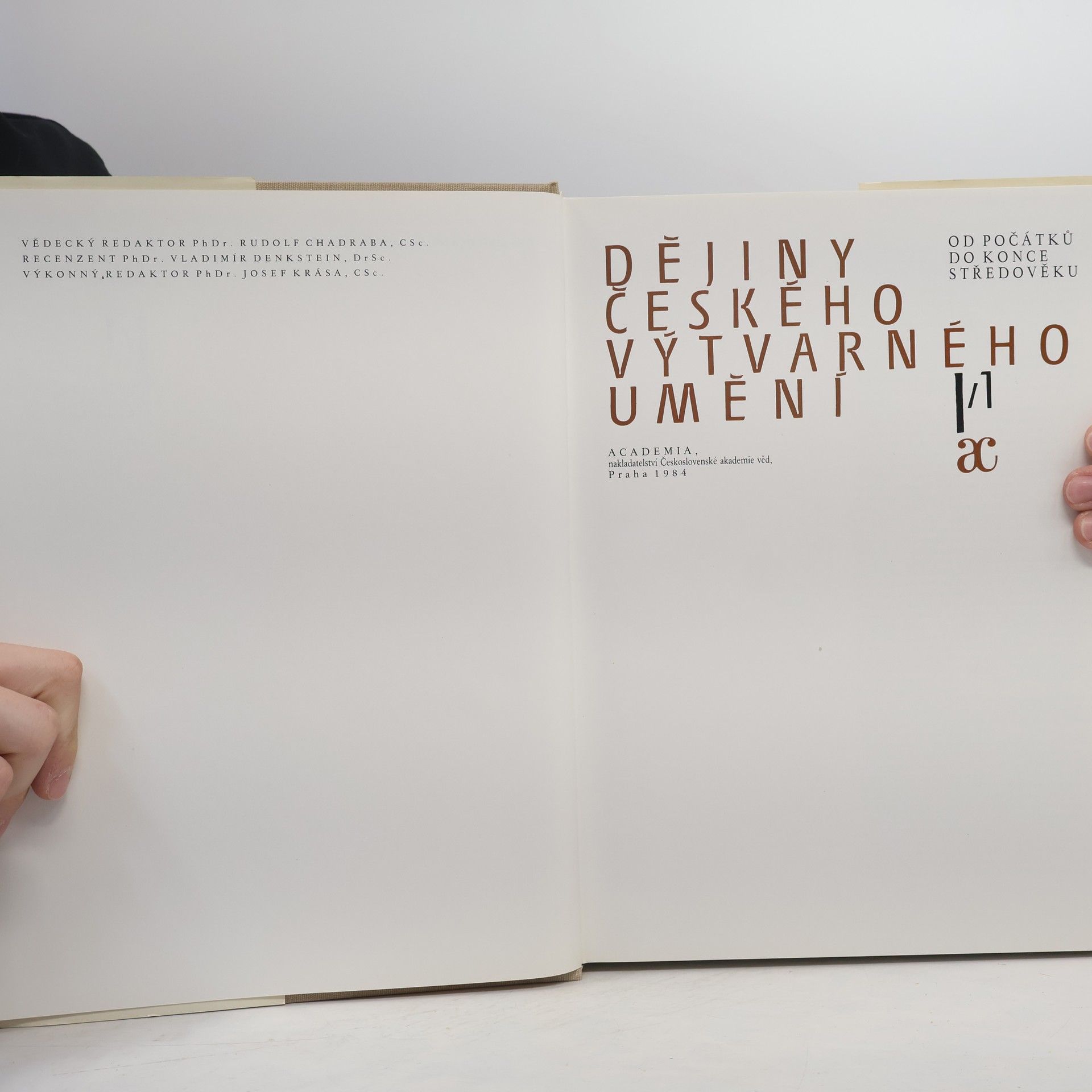 Various authors Dějiny českého výtvarného umění I/1