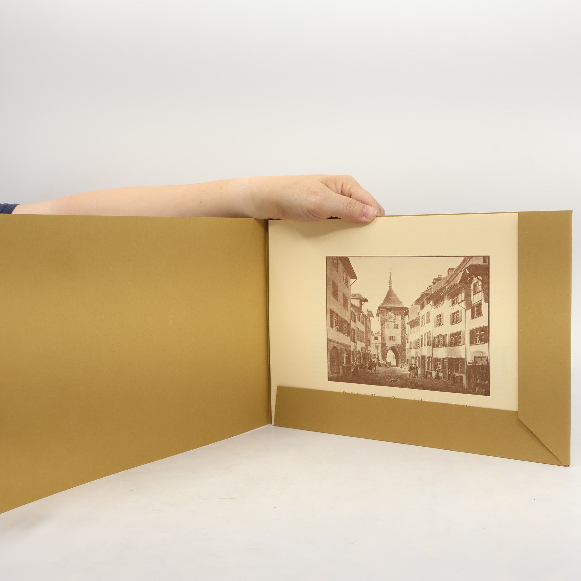 Autorenkollektiv Das goldene Zeitalter der Schweizer Gravierkunst 1750-1850