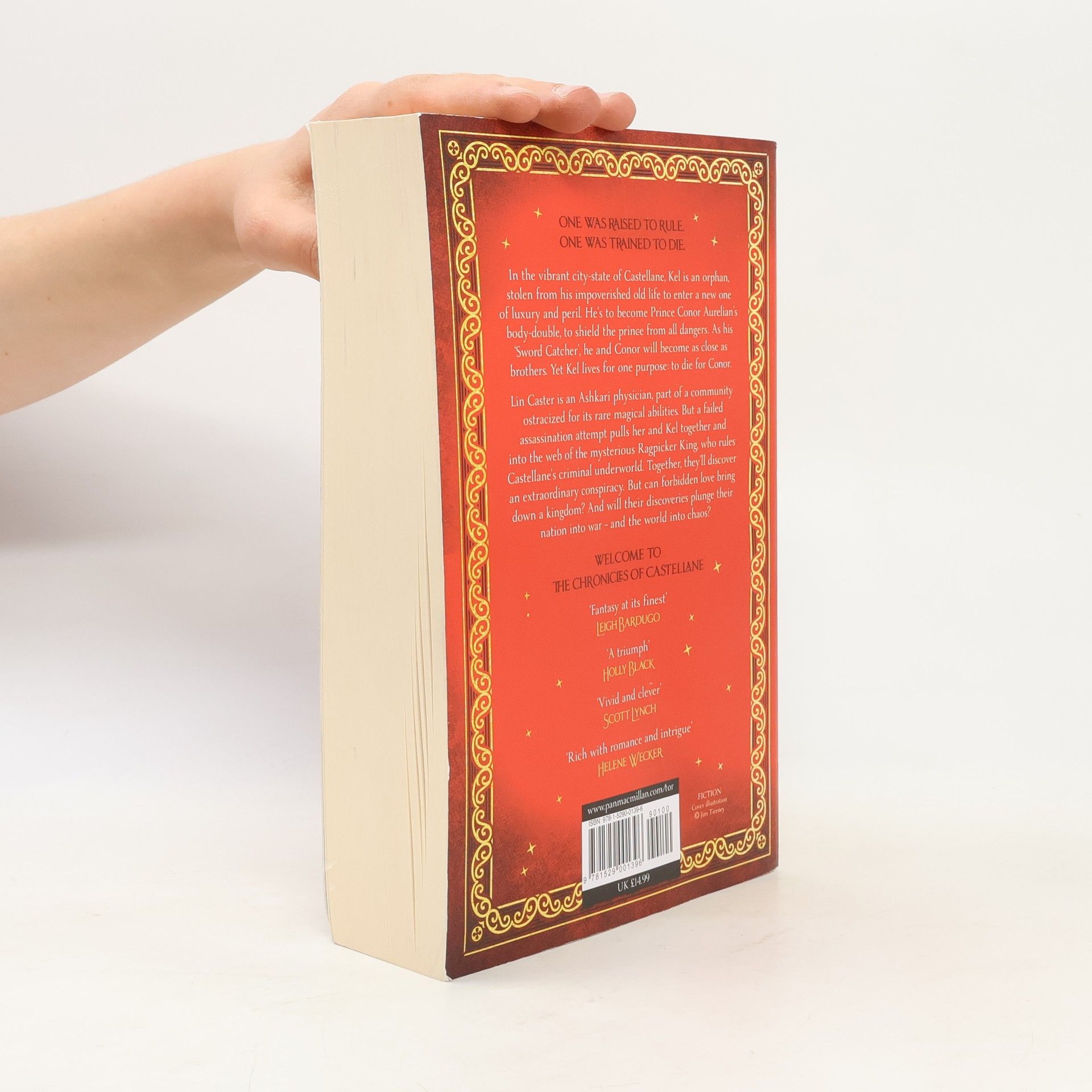 Cassandra Clare Sword Catcher
