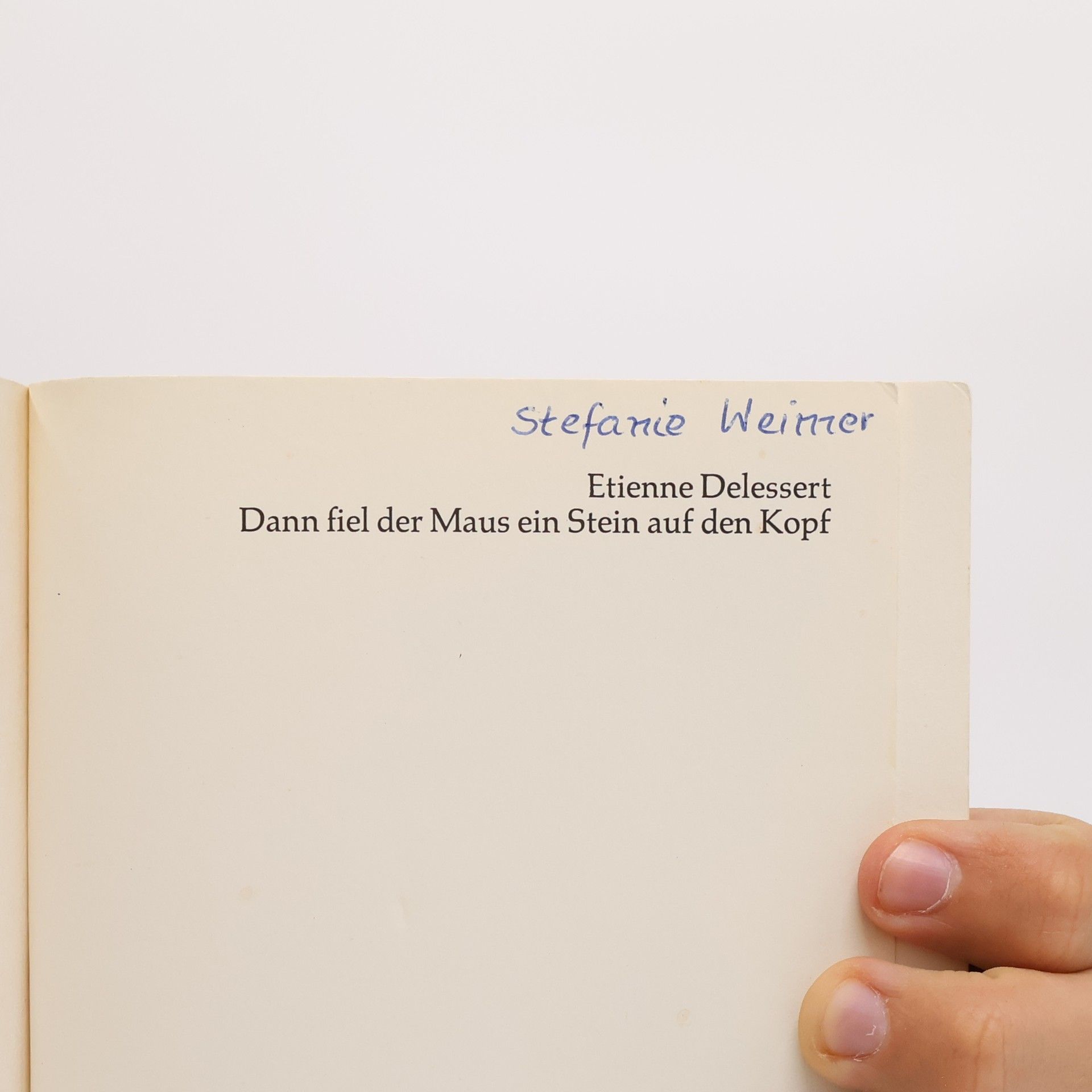 Etienne Delessert Dann fiel der Maus ein Stein auf den Kopf