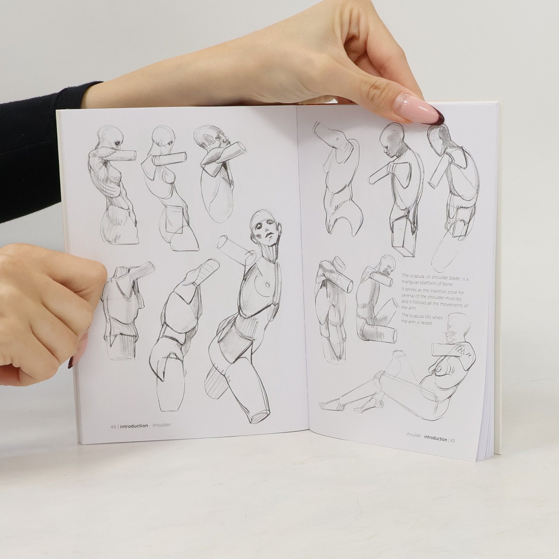 Michel Lauricella Morpho: Simplified Forms