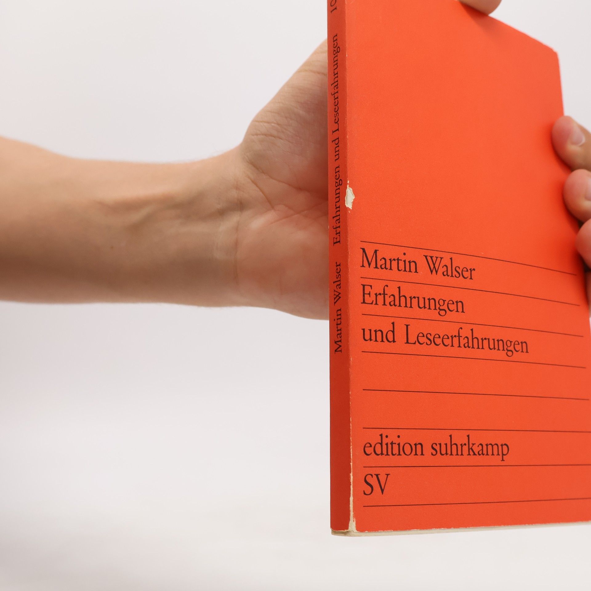 Martin Walser Erfahrungen und Leseerfahrungen