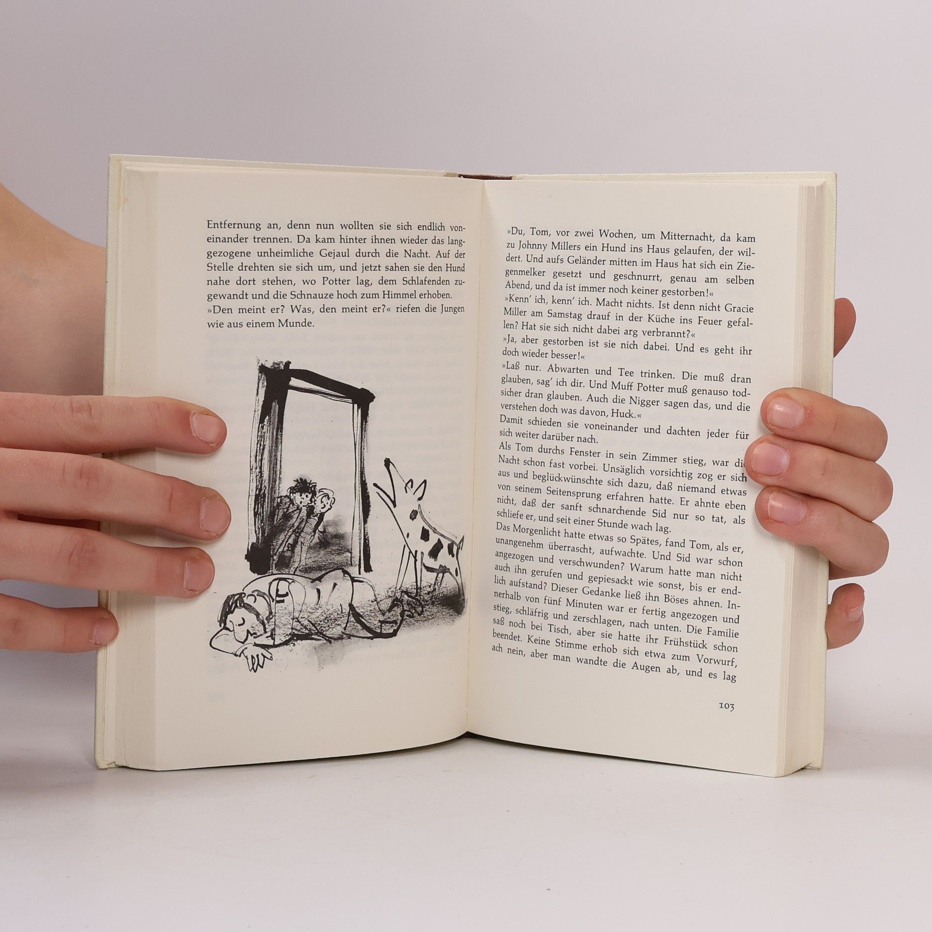 Mark Twain Tom Sawyers Abenteuer