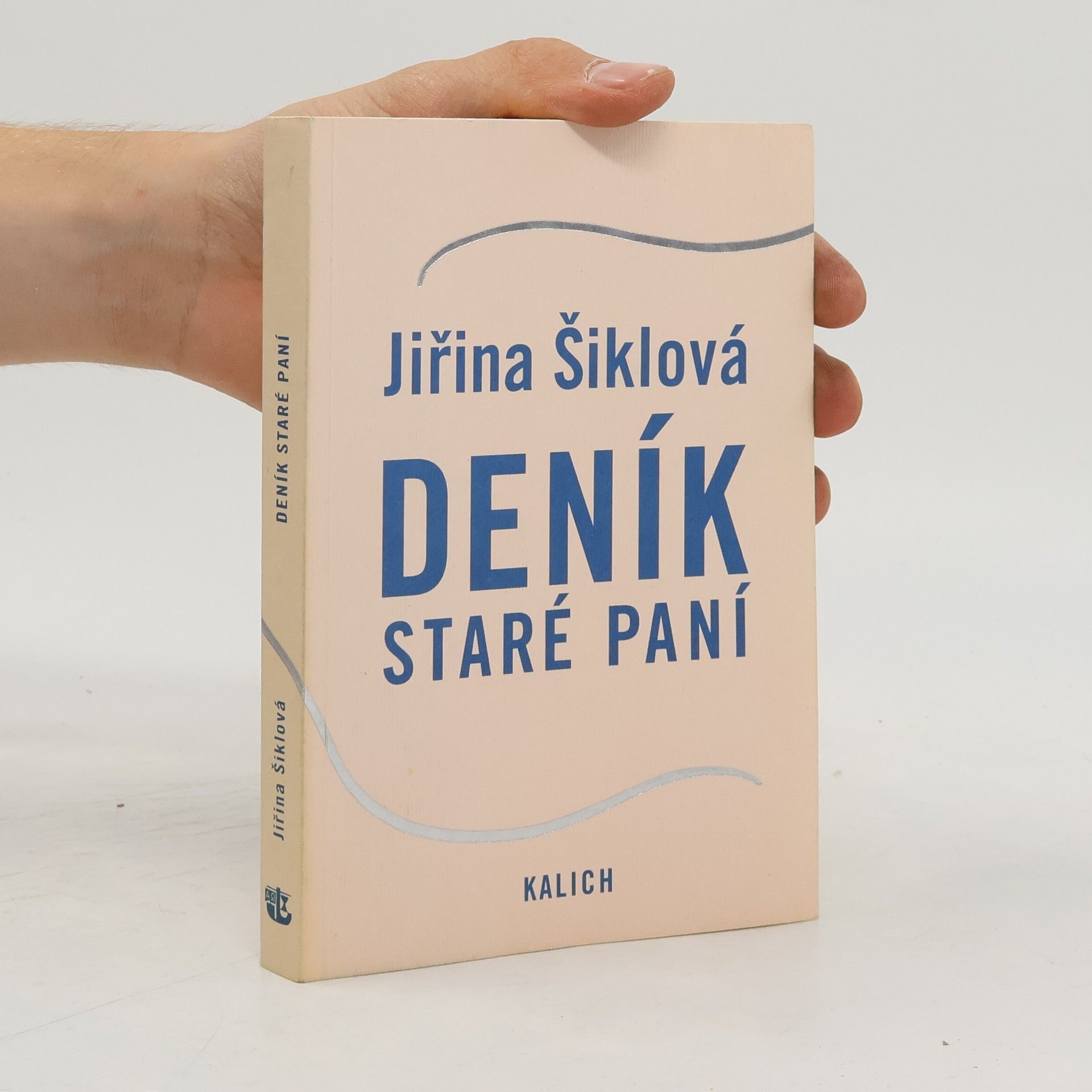 Jiřina Šiklová Deník staré paní