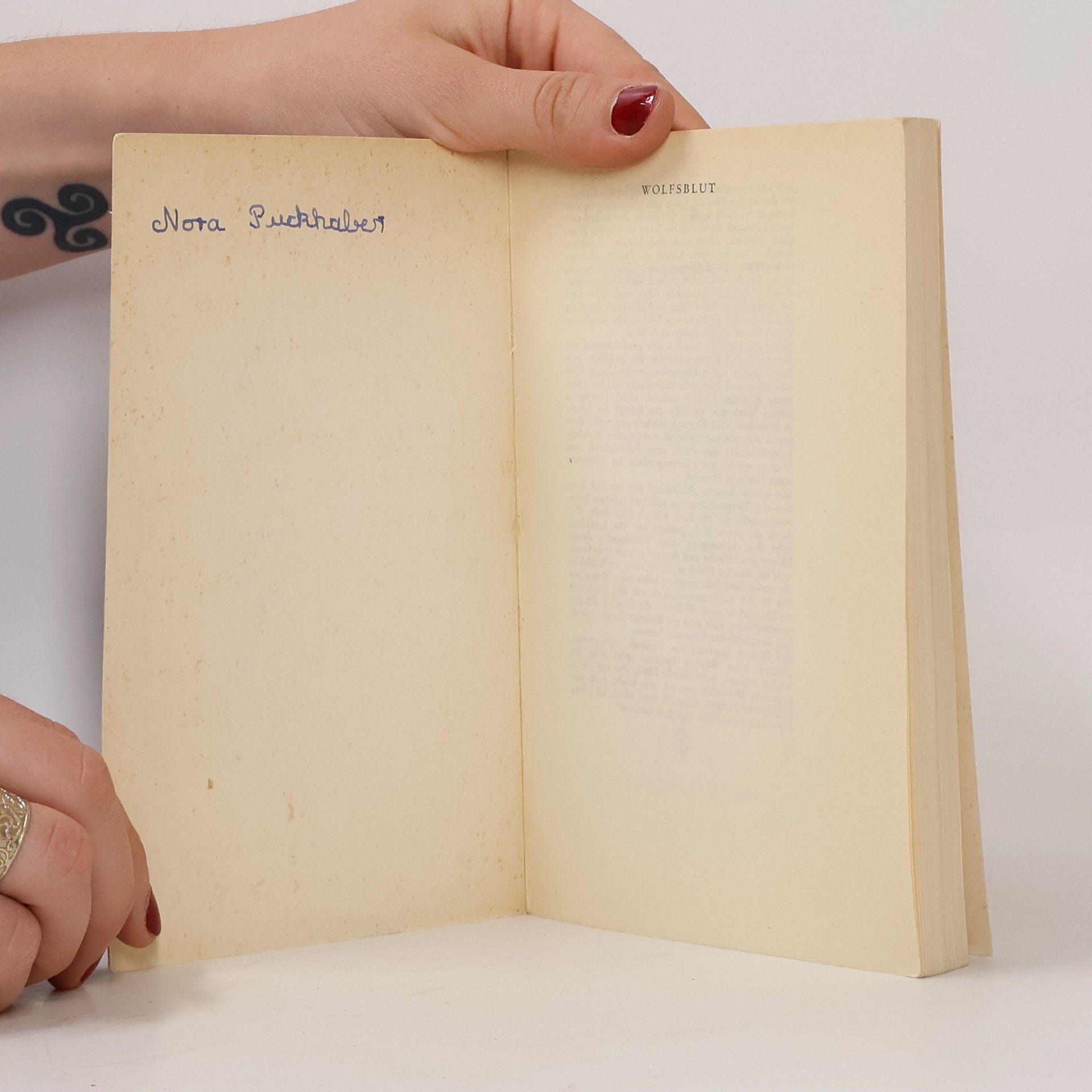 Jack London Wolfsblut