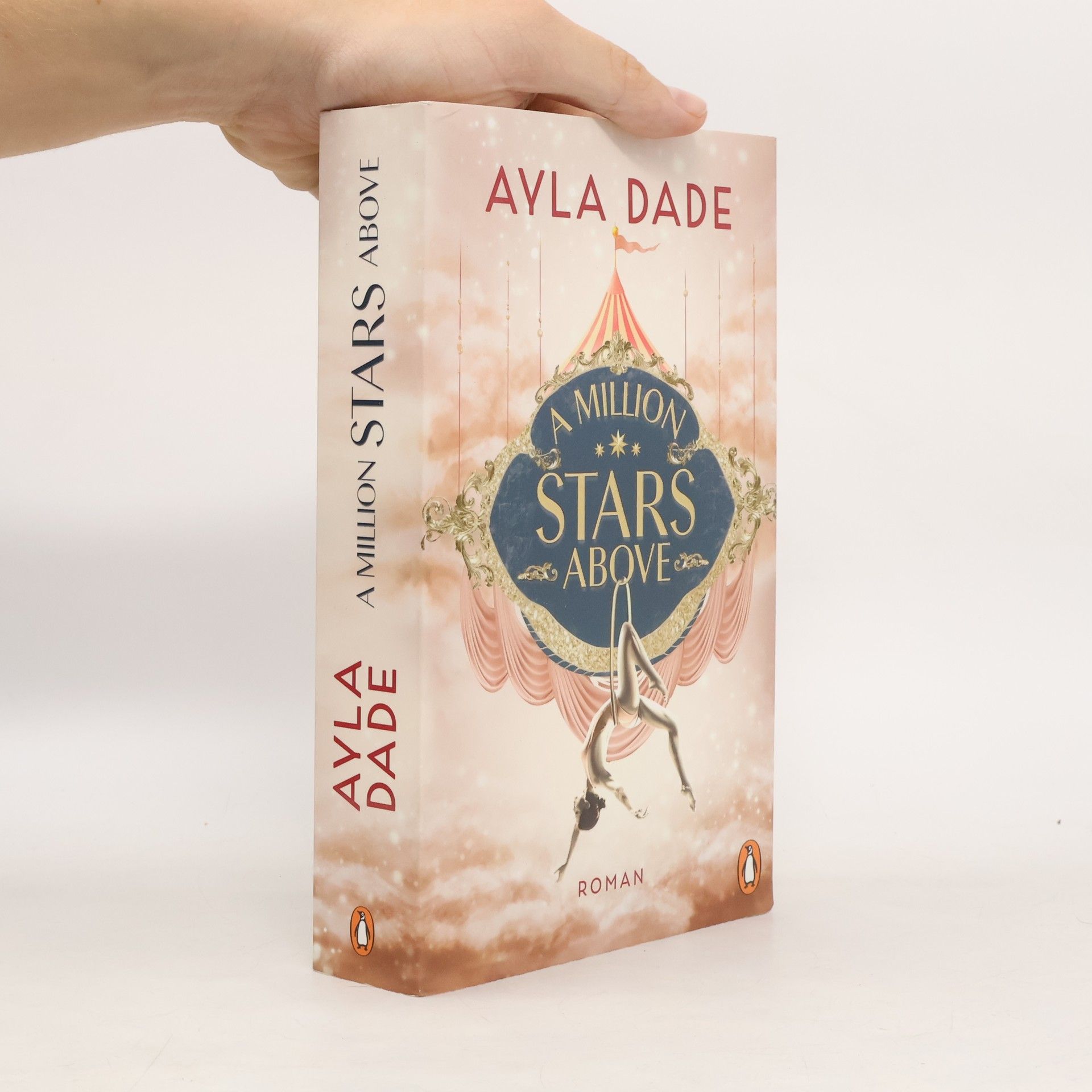 Ayla Dade A Million Stars Above / Sky Circus Bd.1