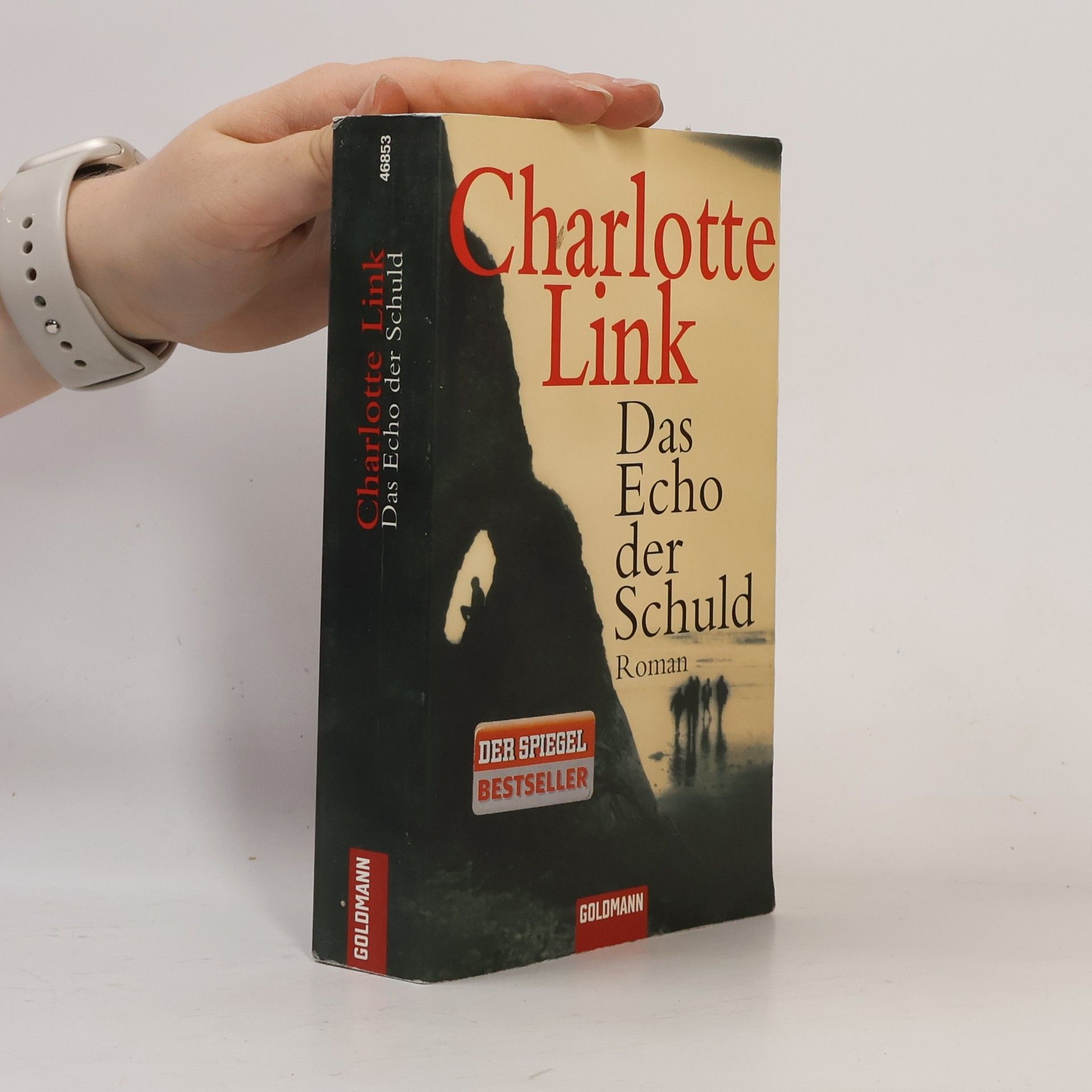 Charlotte Link Das Echo der Schuld