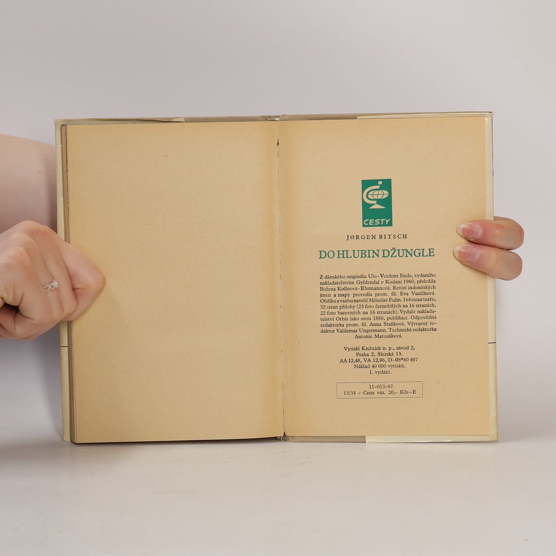 Jørgen Bitsch Do hlubin džungle