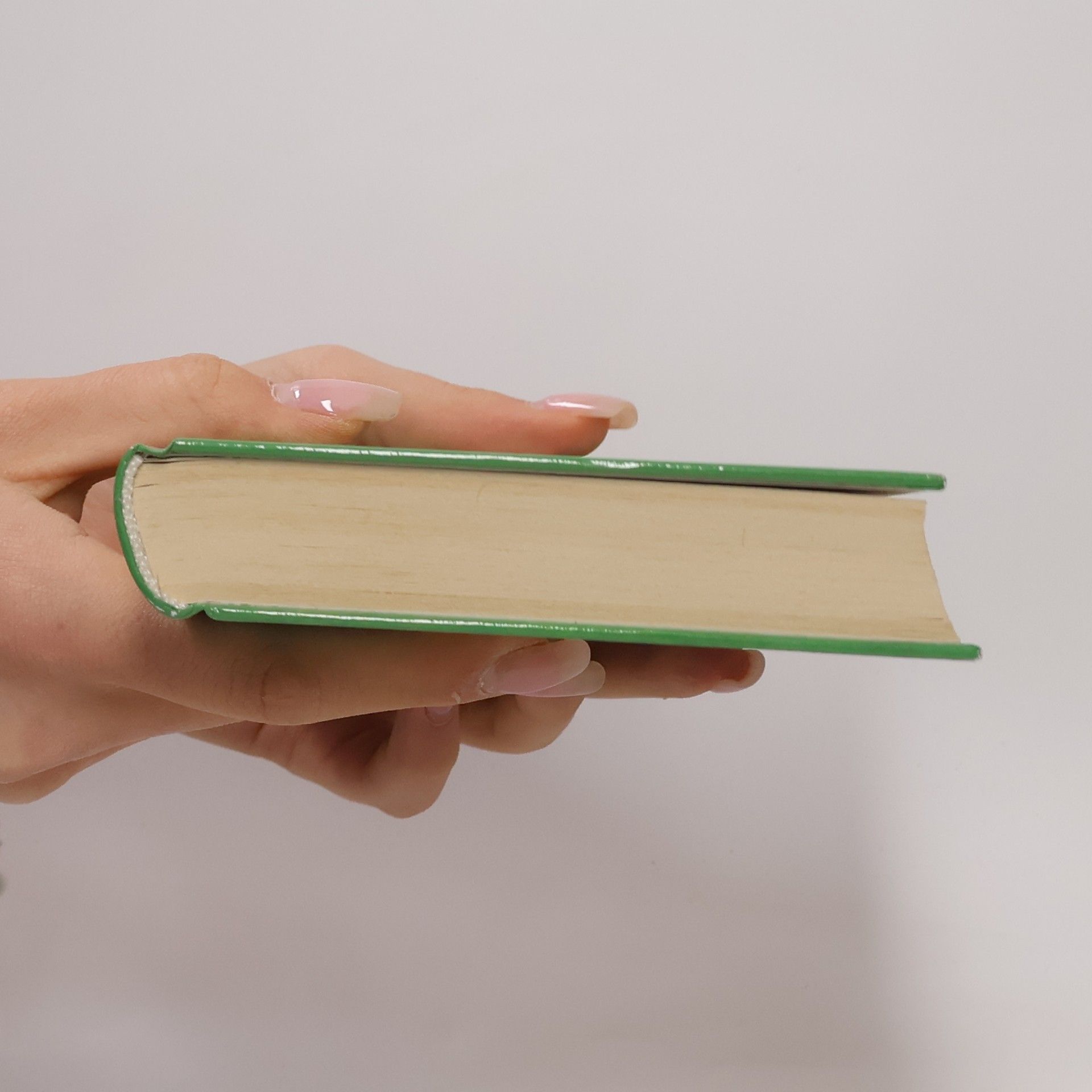 Rosalie Linner Tagebuch einer Landhebamme