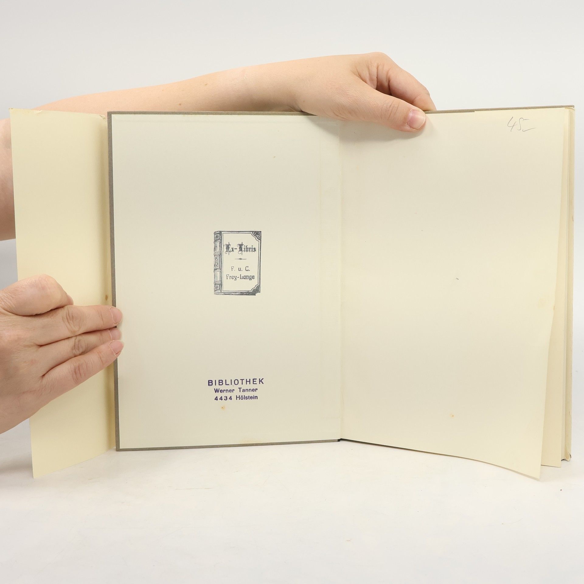 Paul Koelner Basler Zunftherrlichkeit: Ein Bilderbuch der Zünfte und Gesellschaften