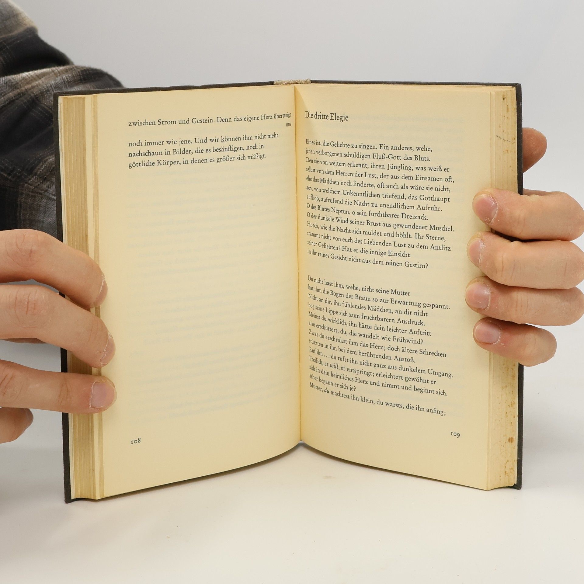 Rainer Maria Rilke Augewählte Gedichte