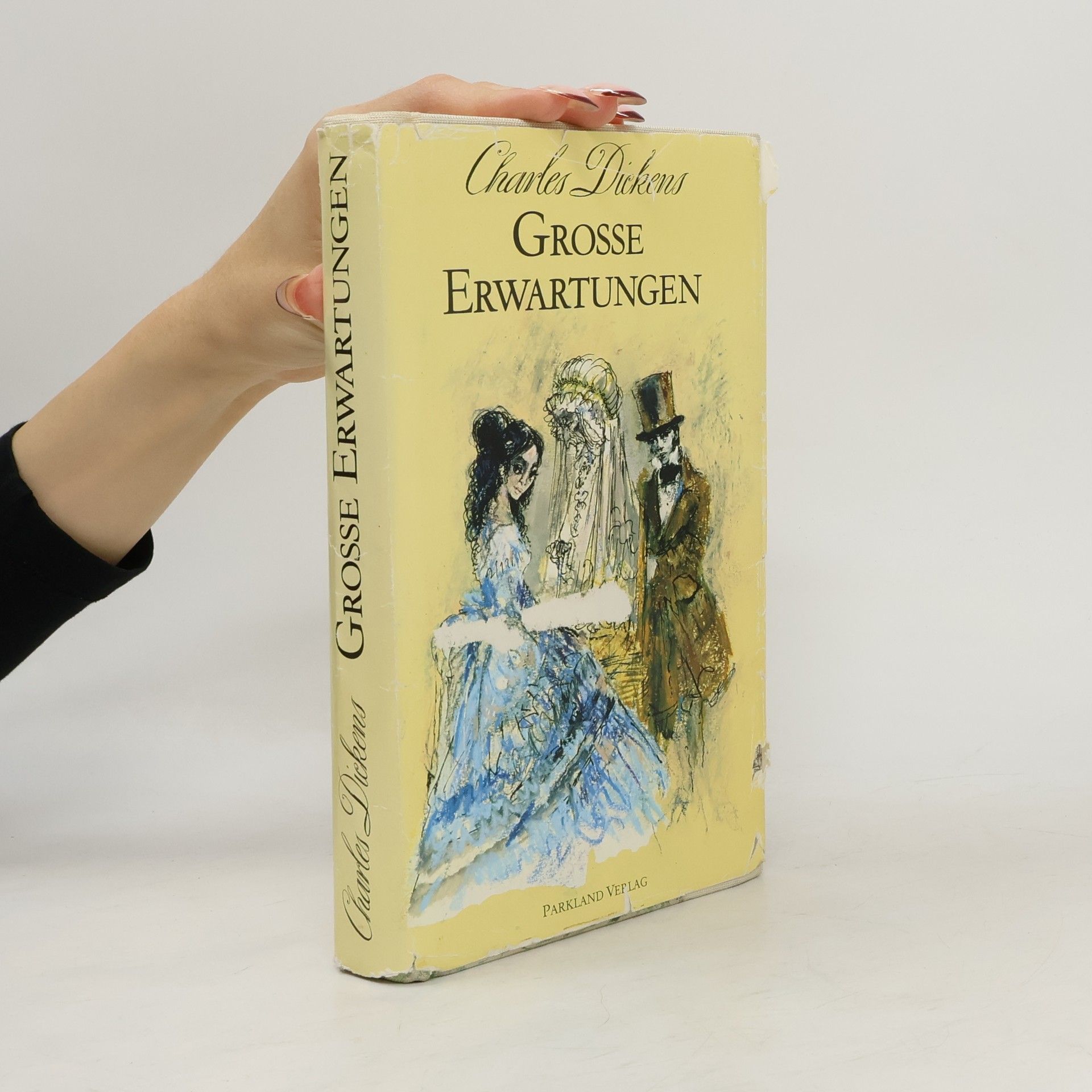 Charles Dickens Grosse Erwartungen