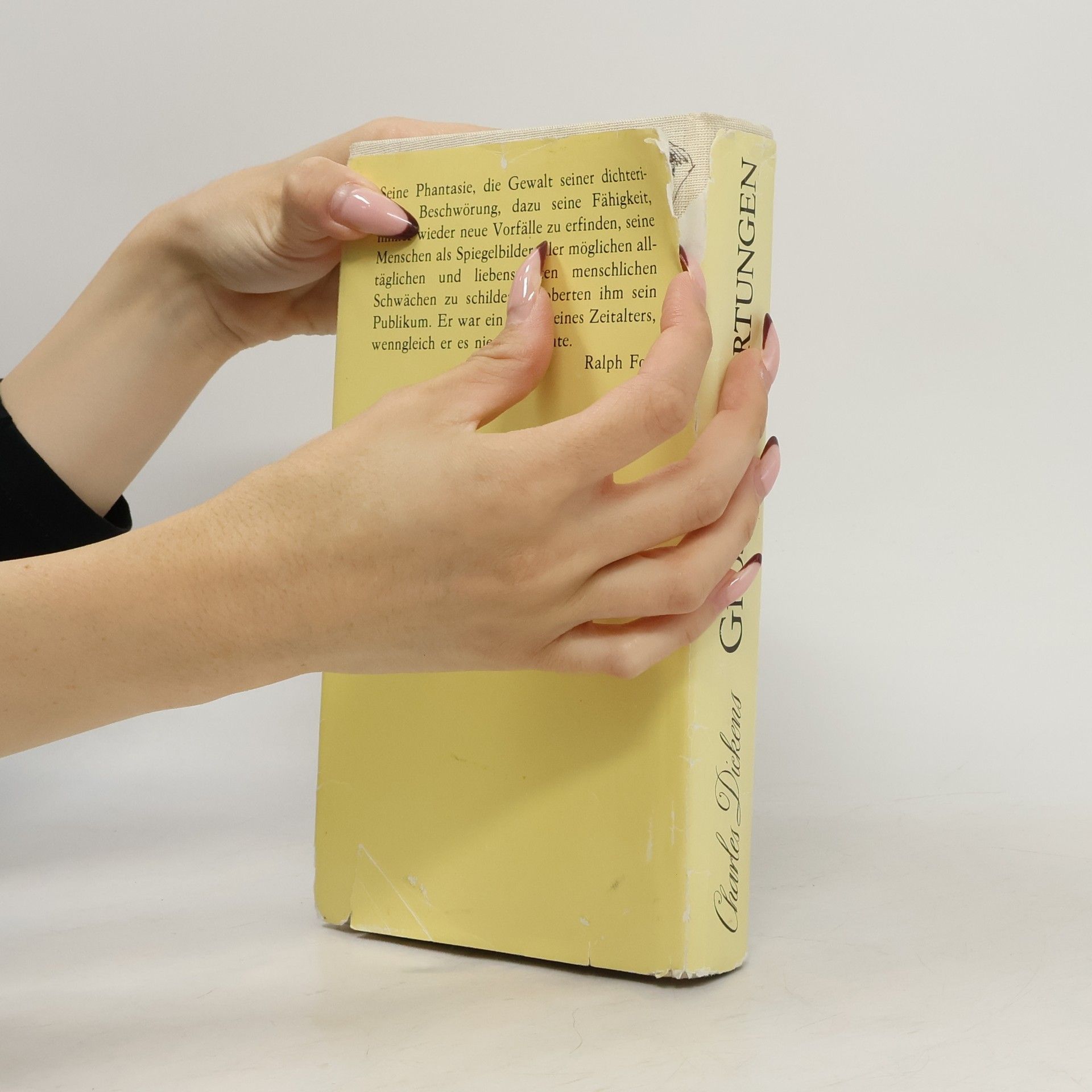 Charles Dickens Grosse Erwartungen