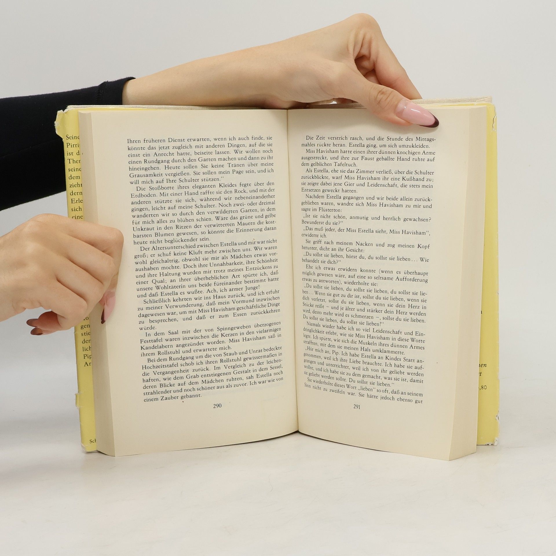 Charles Dickens Grosse Erwartungen