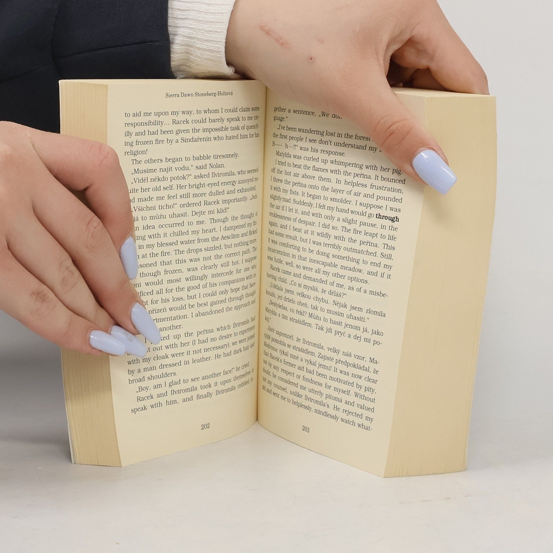 Sierra Dawn Stoneberg Holt Písně větru. The diaries of Lady Aesclinn Aelfraed of Aelfraedinnsford