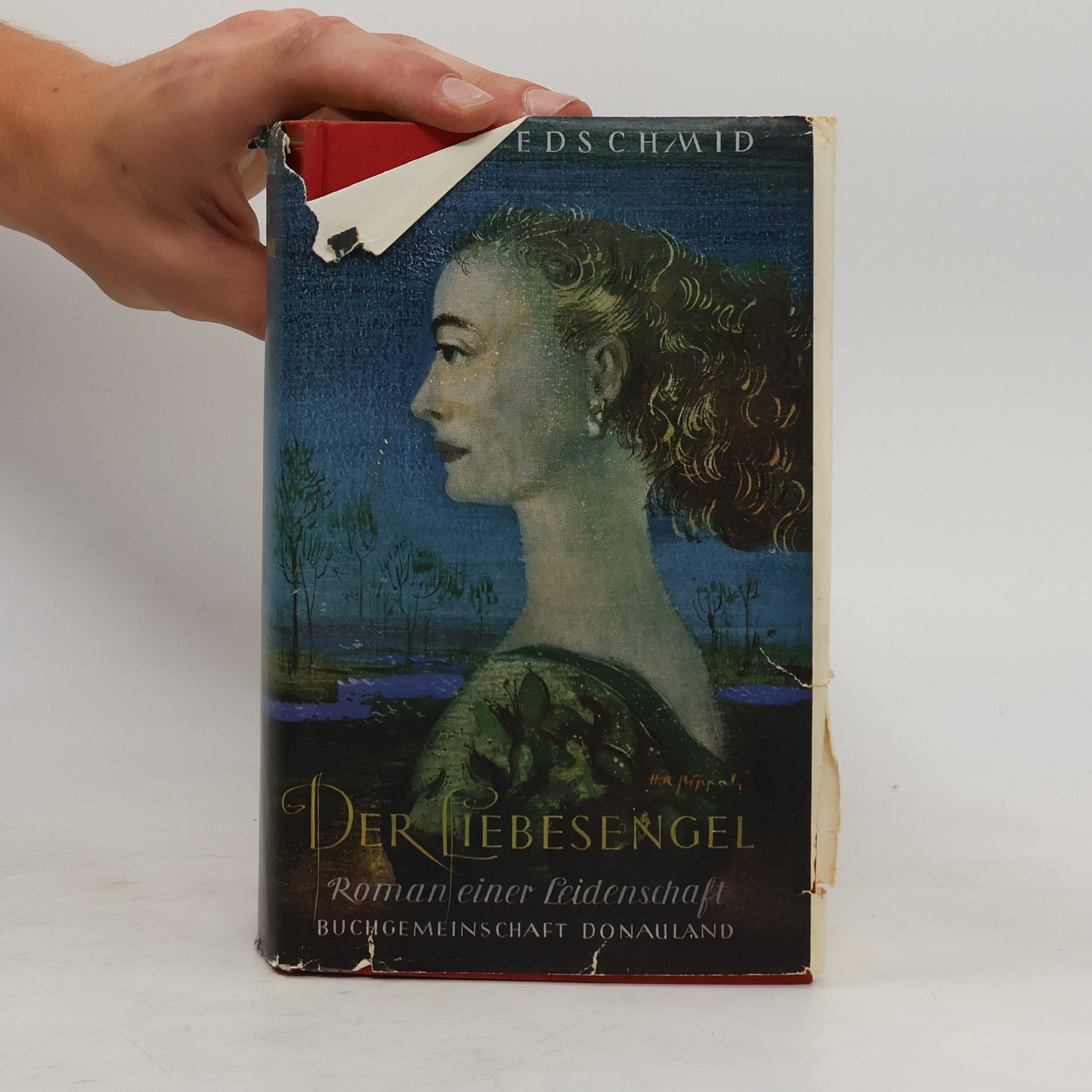 Kasimir Edschmid Der Liebesengel. Roman einer Leidenschaft