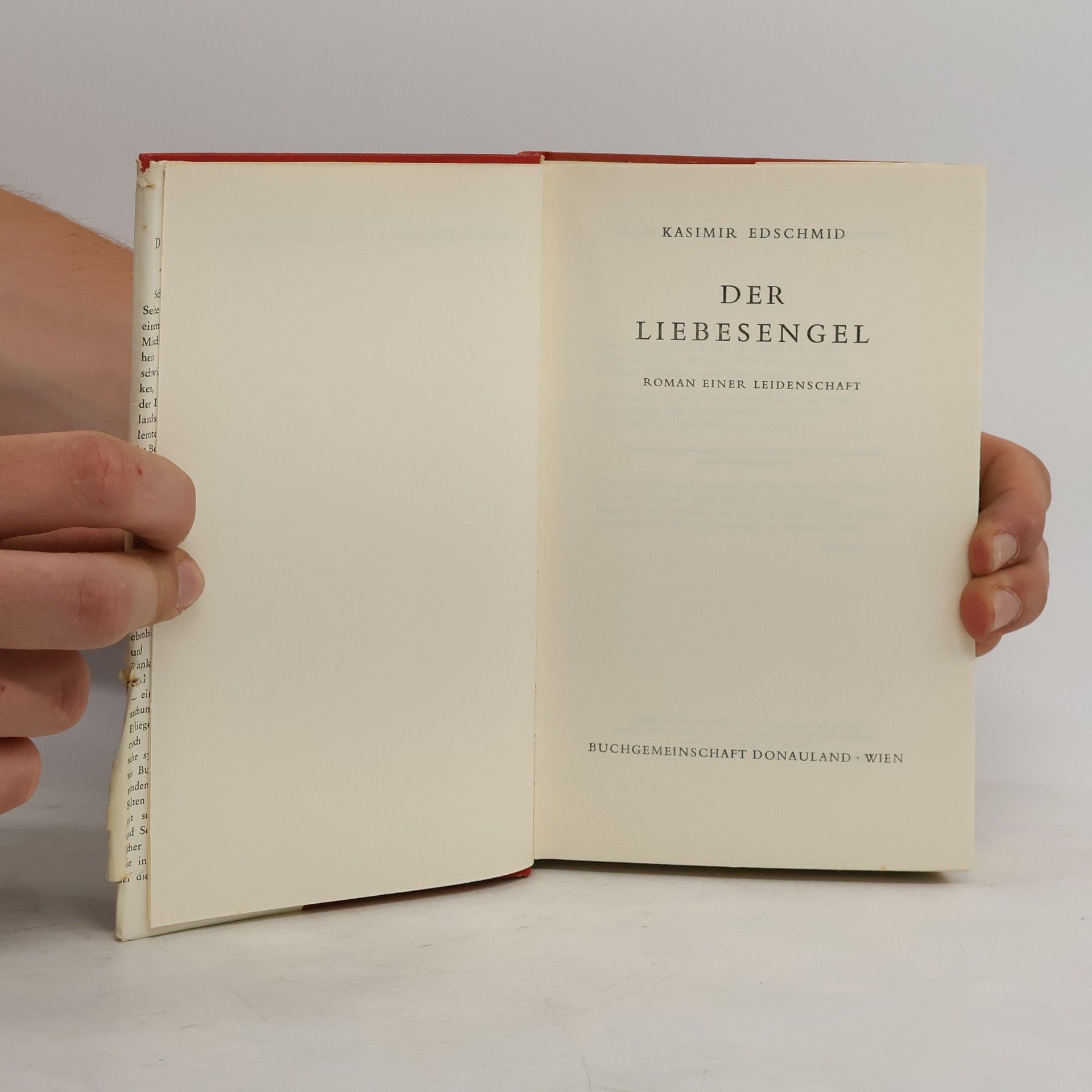 Kasimir Edschmid Der Liebesengel. Roman einer Leidenschaft