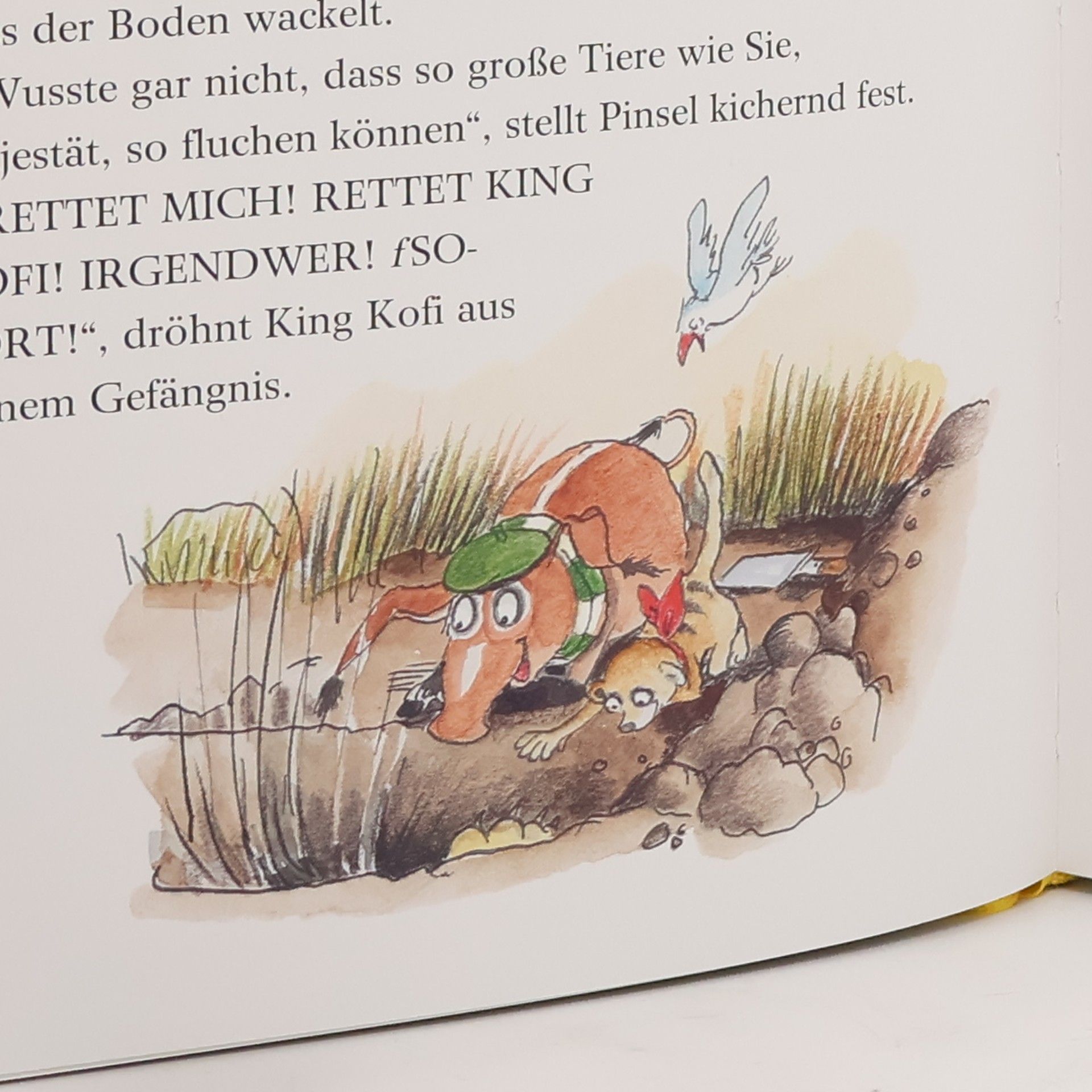 Julia Boehme Tafiti - Die schönsten Vorlesegeschichten