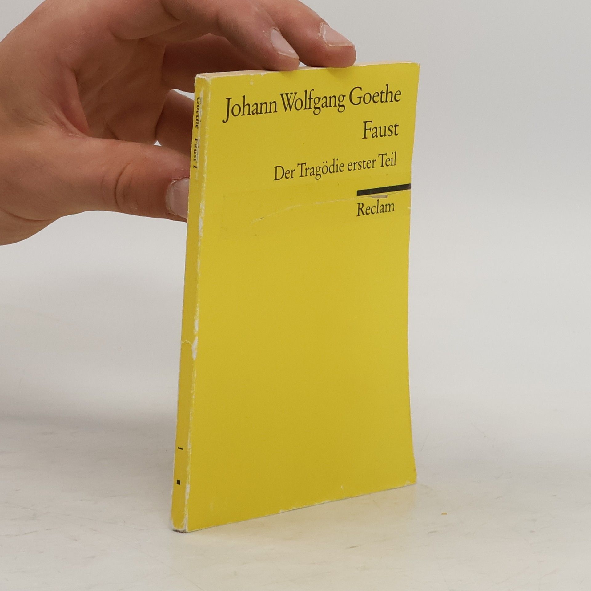 Johann Wolfgang von Goethe Faust : der Tragödie Erster teil