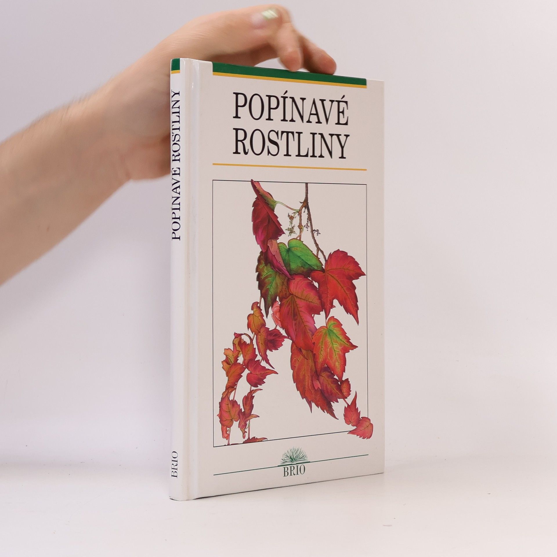Popínavé rostliny