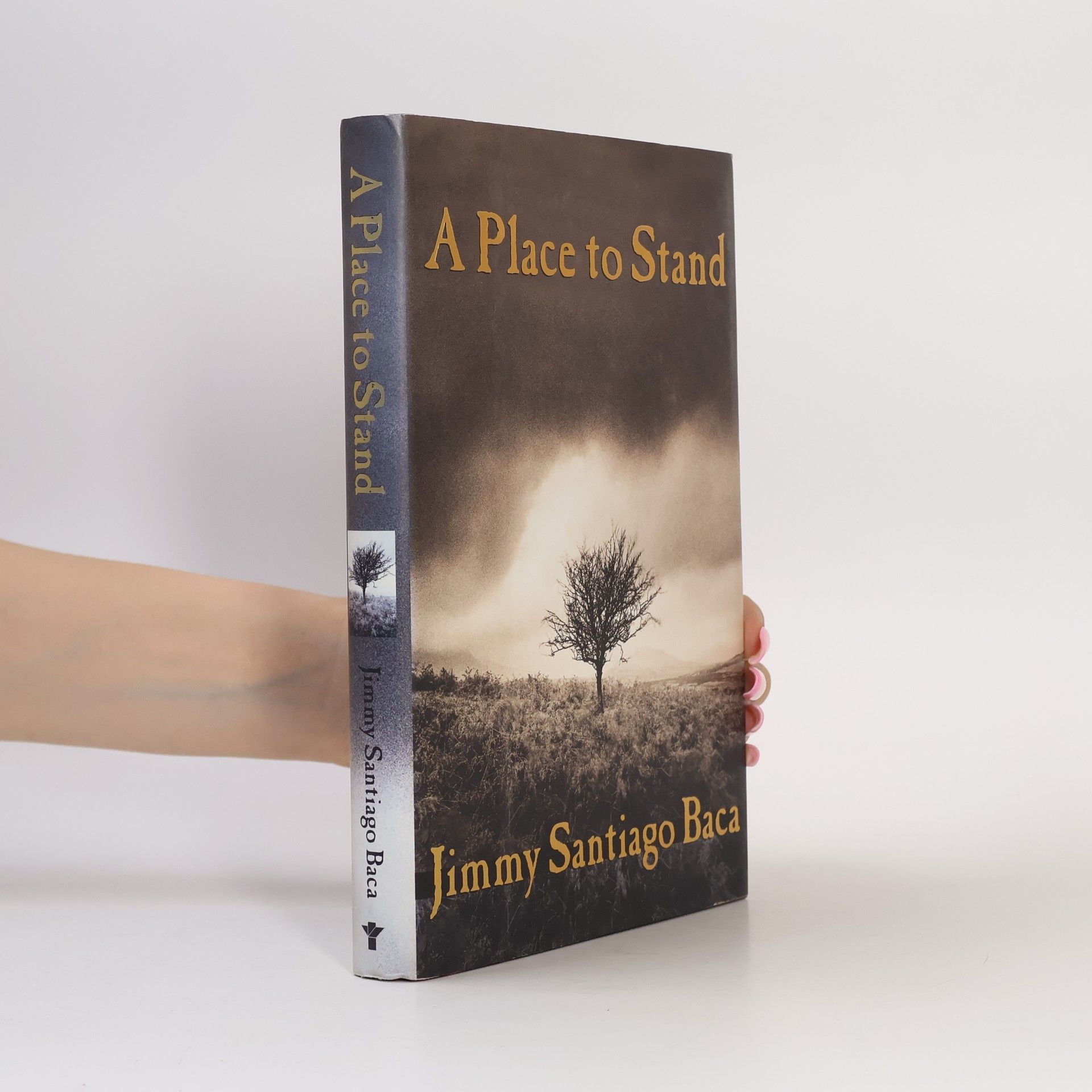 Jimmy Santiago Baca A Place to Stand