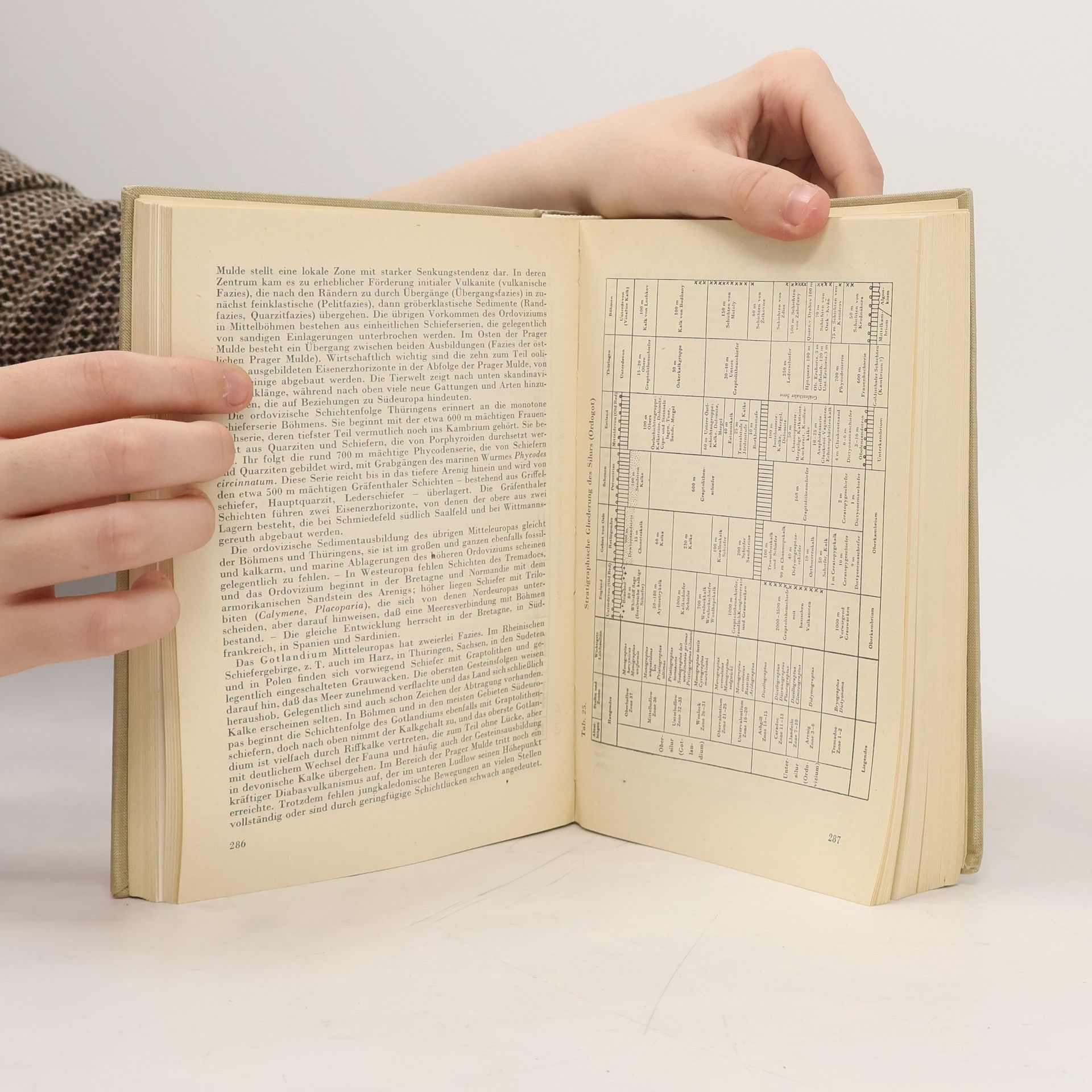 Rudolf Gaedeke Die Entwicklungsgeschichte der Erde