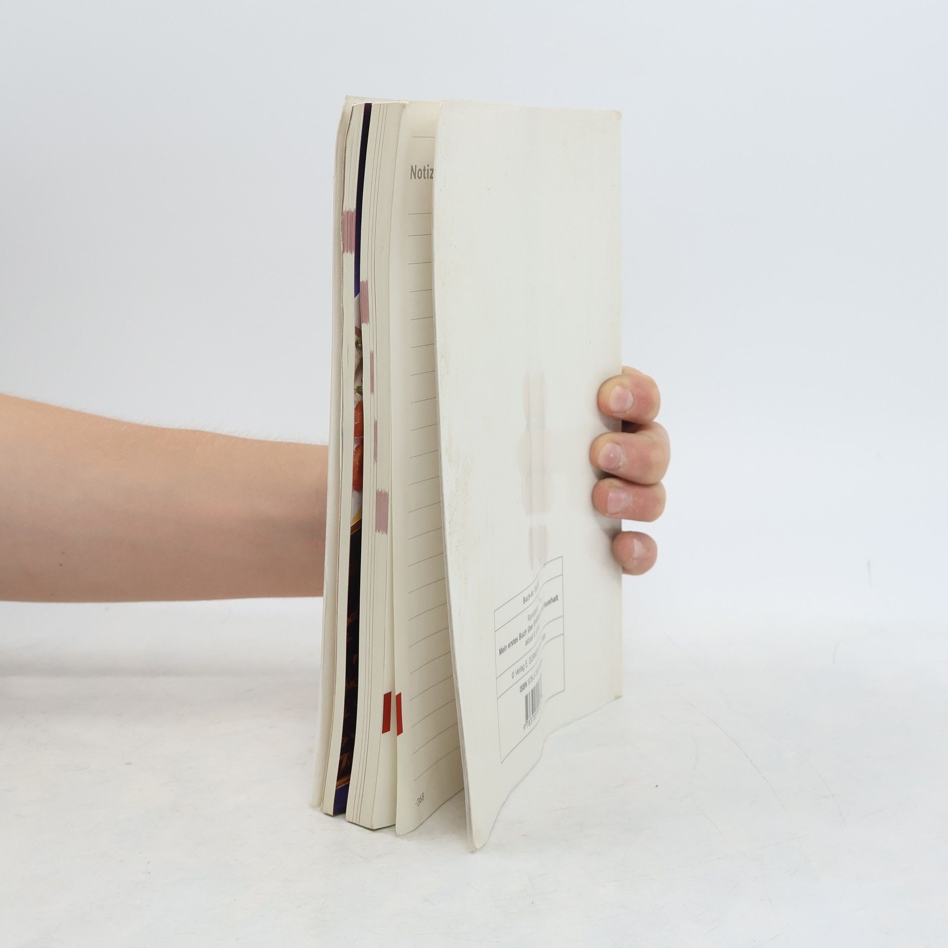Maria Ranetbauer Mein erstes Buch über Ernährung und Haushalt