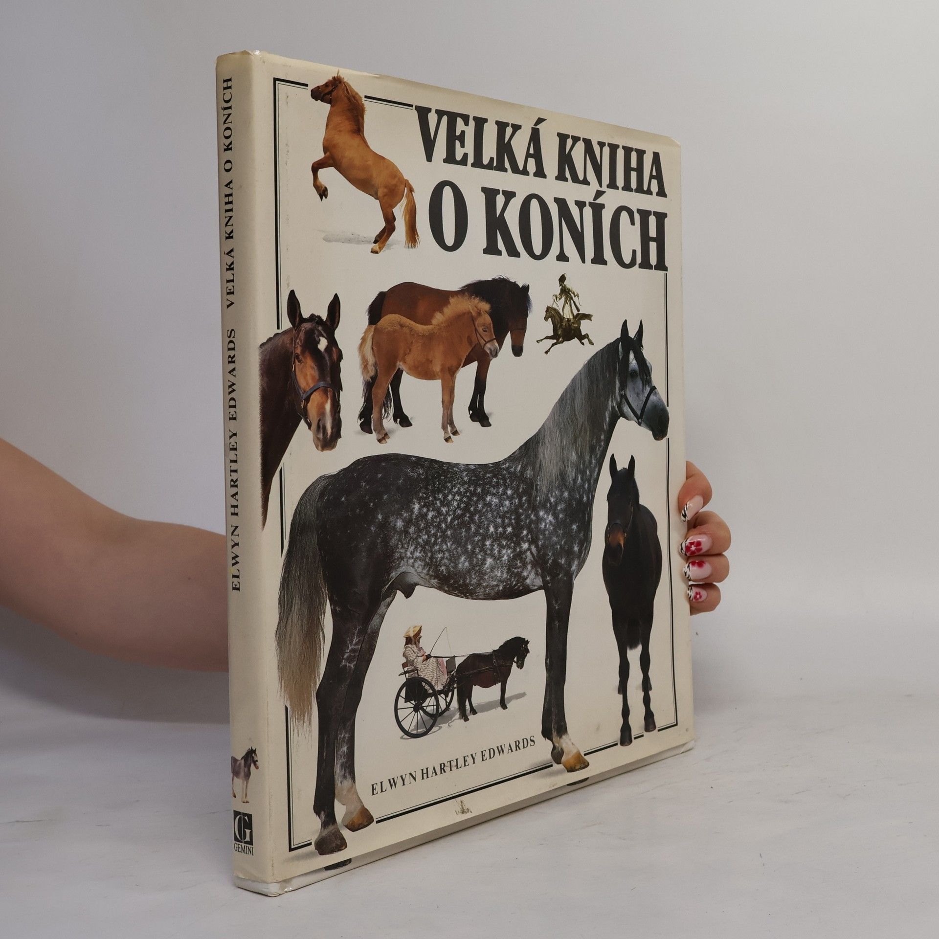 Elwyn Hartley Edwards Velká kniha o koních