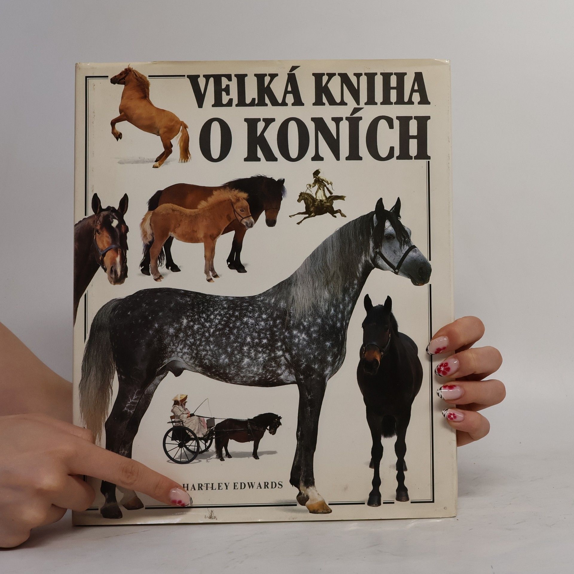 Elwyn Hartley Edwards Velká kniha o koních