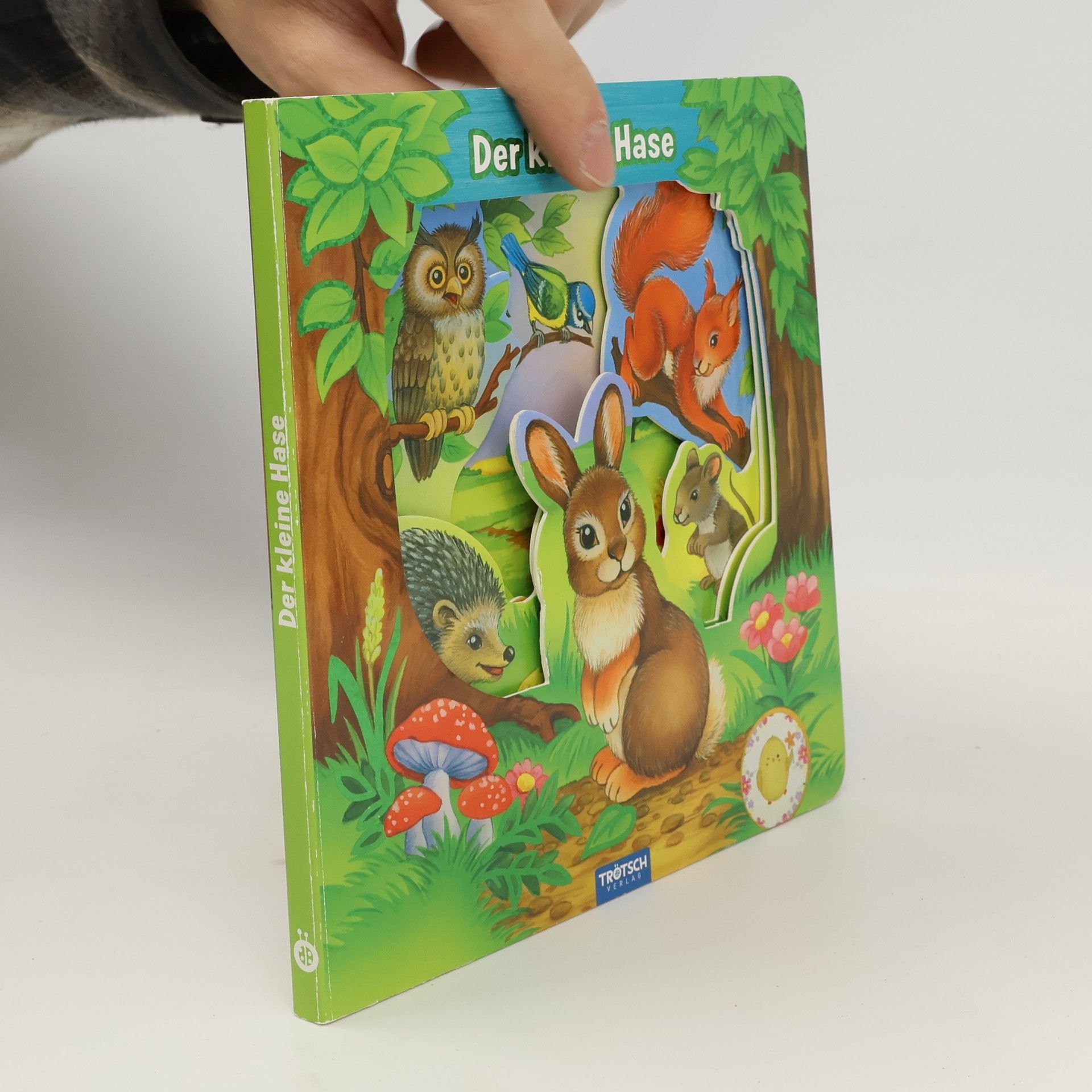 Autorenkollektiv Trötsch Der Kleine Hase Fensterbuch. Entdeckerbuch Beschäftigungsbuch Spielbuch