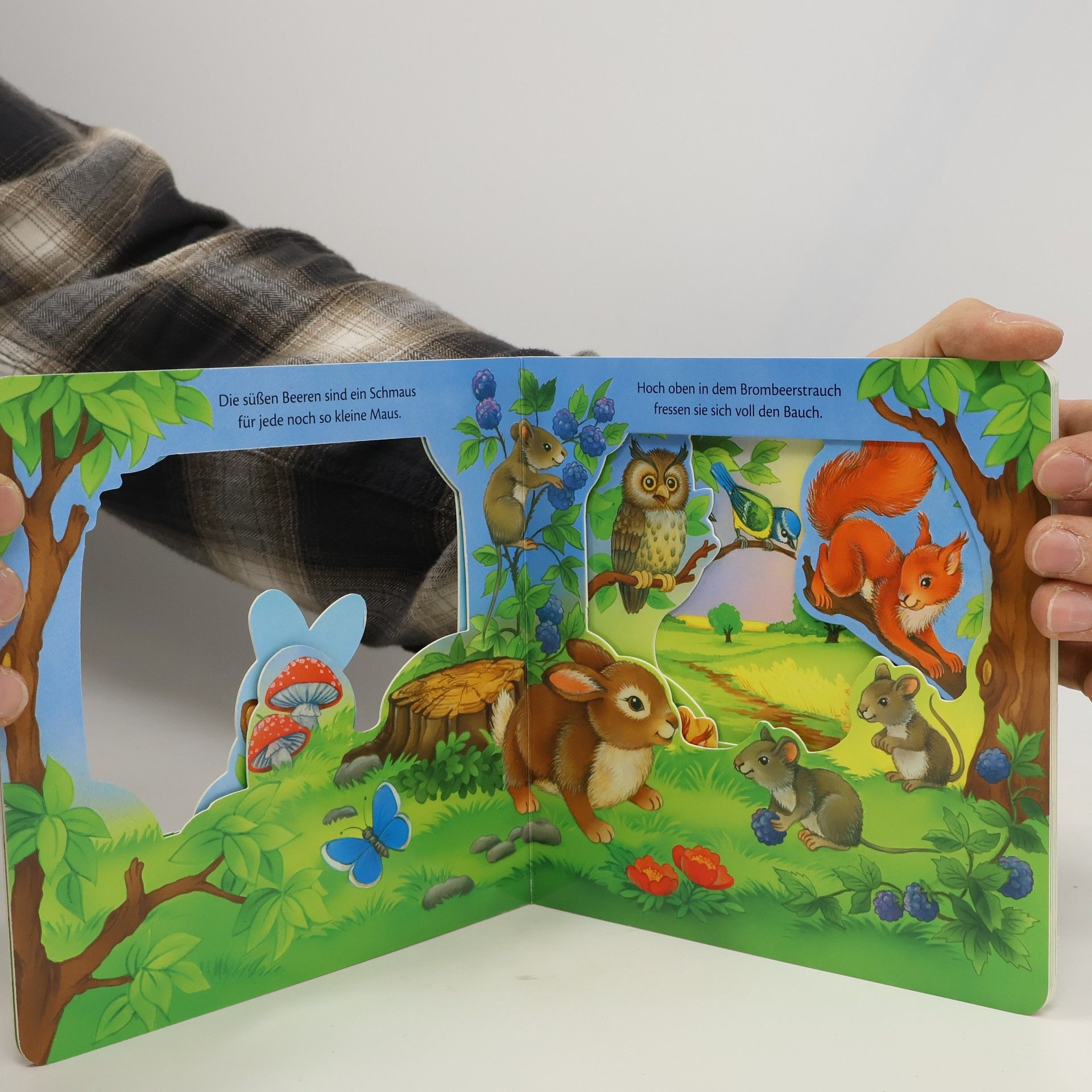 Various authors Trötsch Der Kleine Hase Fensterbuch. Entdeckerbuch Beschäftigungsbuch Spielbuch