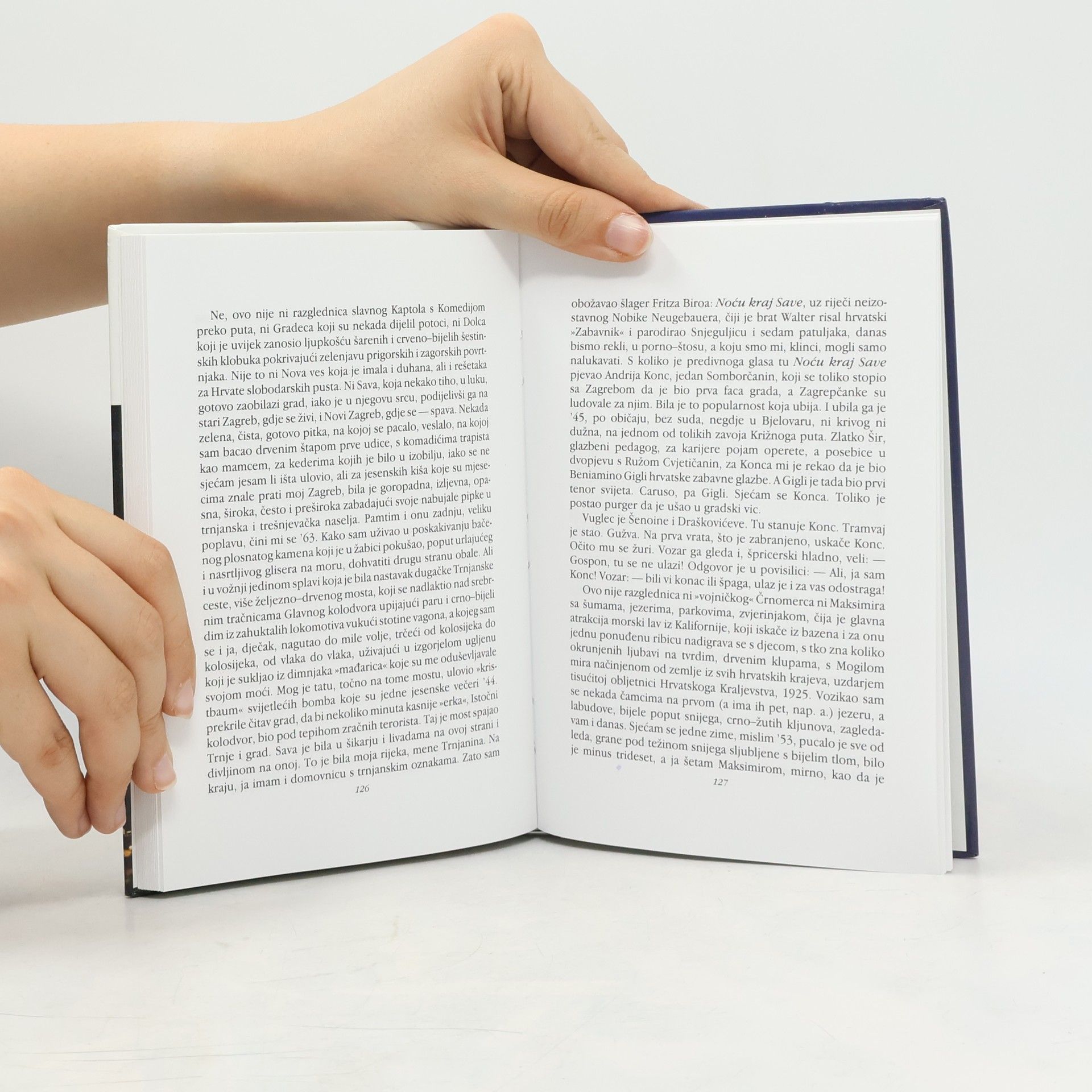 Božica Brkan Biblioteka Rukoljub: Tebi, Zagrebe, govorim