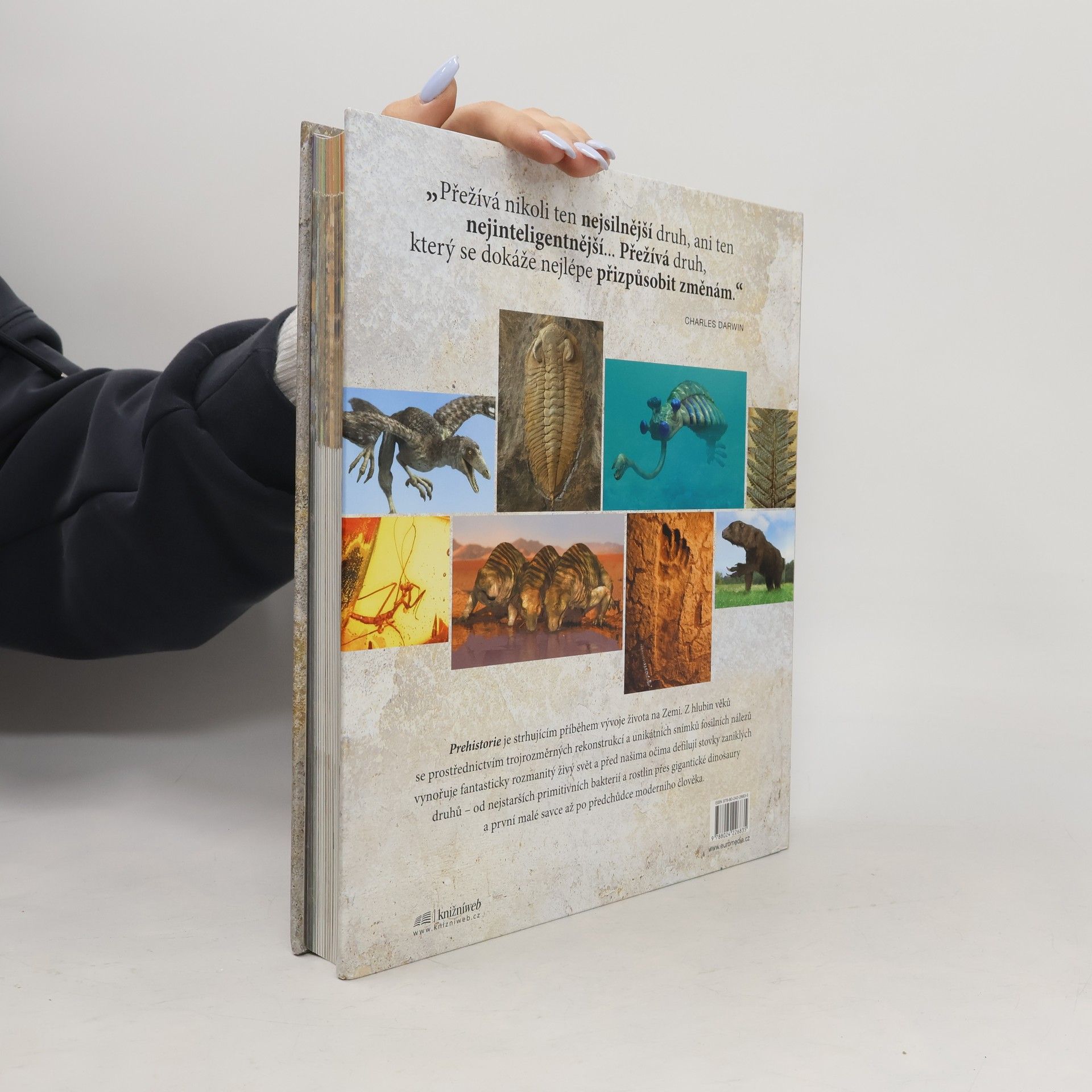 Douglas Palmer Prehistorie