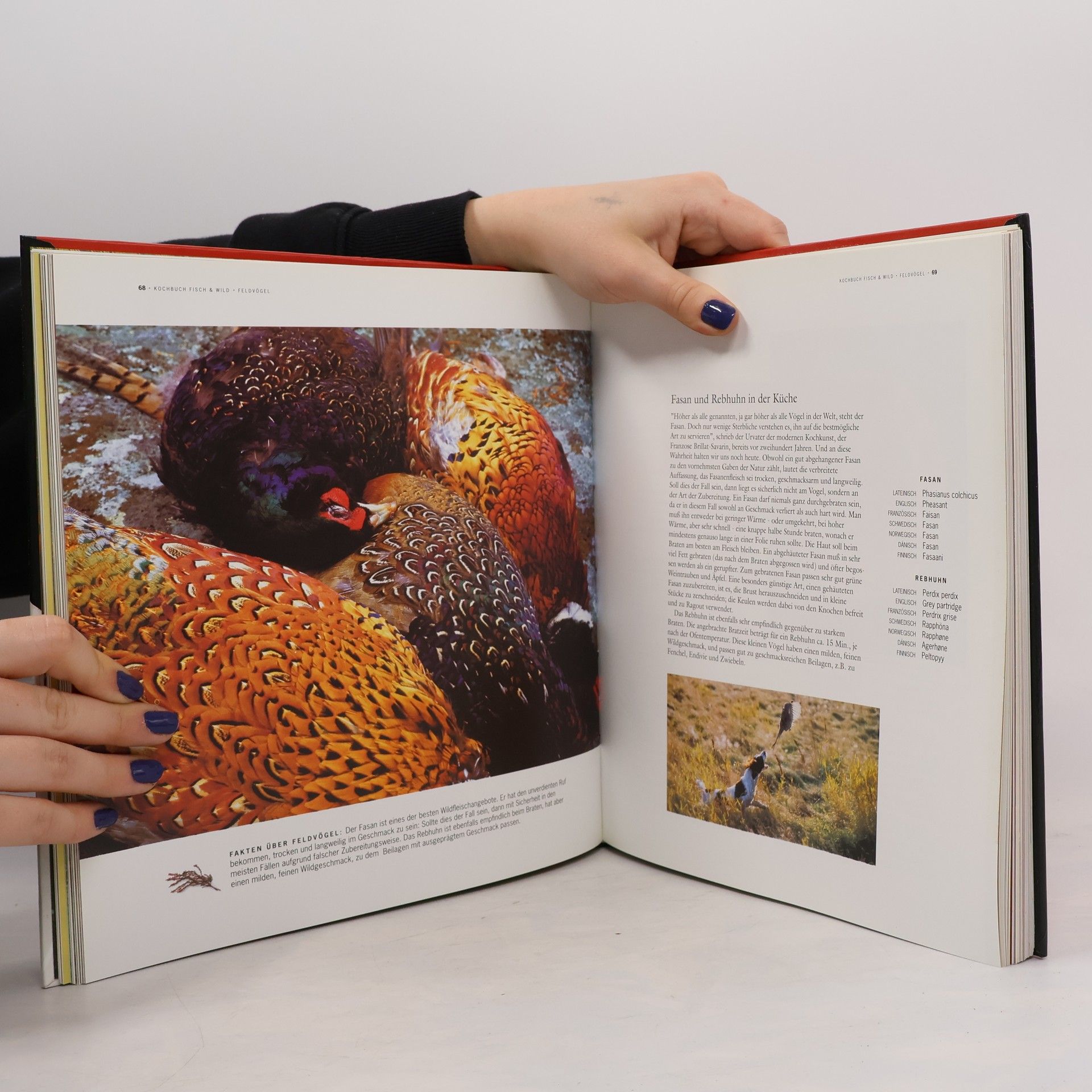 Kerstin Strand Kochbuch Fisch & Wild