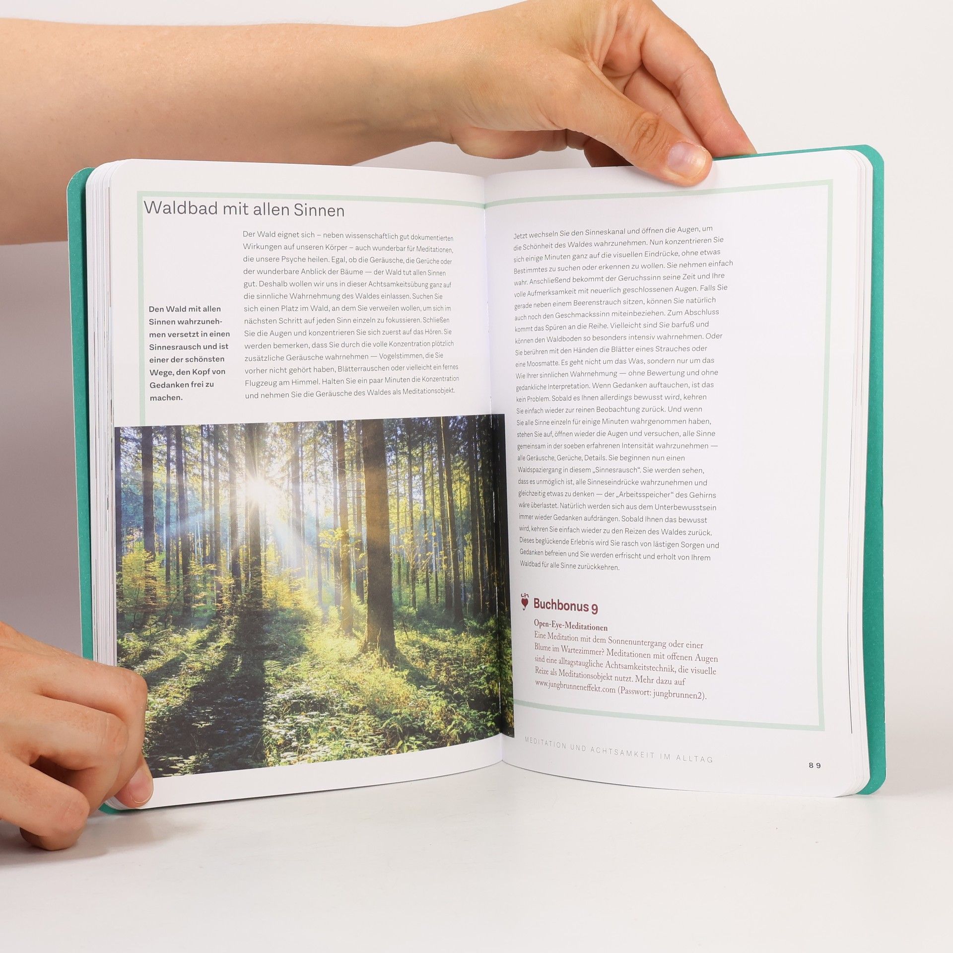 P. A. Straubinger Der Jungbrunnen-Effekt. Mein Praxisbuch