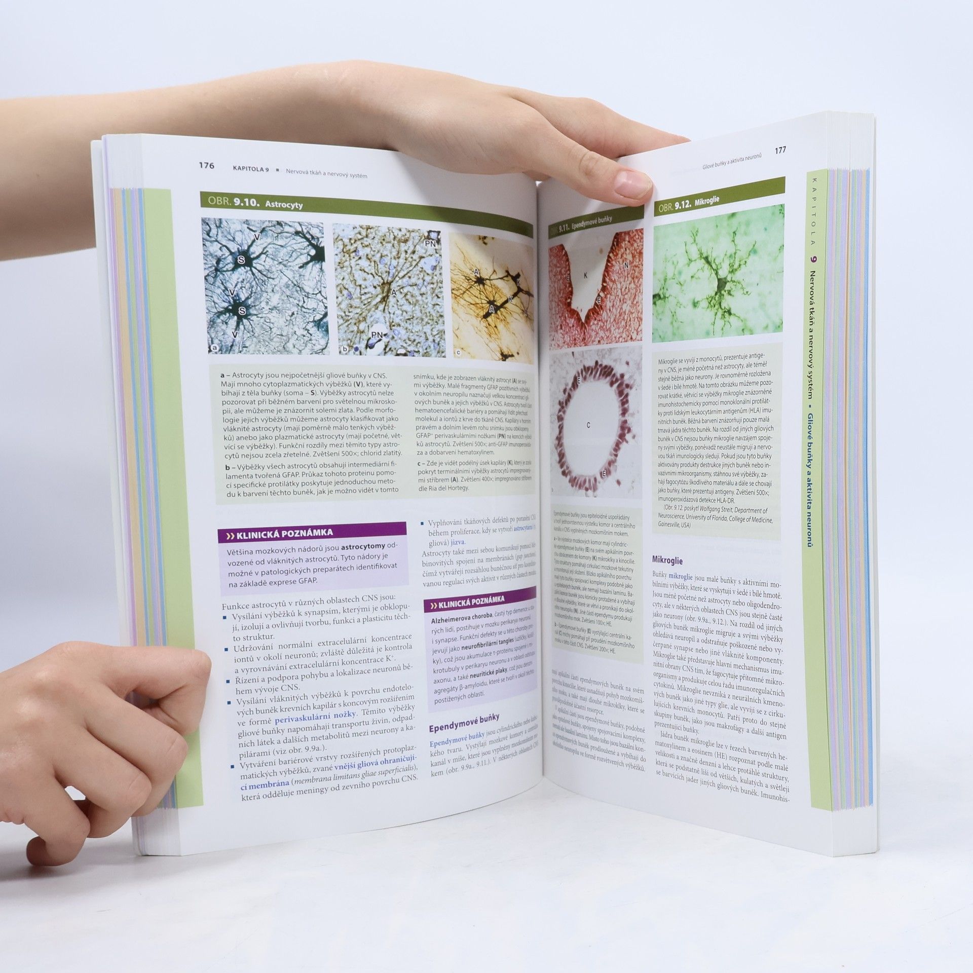 Anthony L. Mescher Junqueirovy základy histologie