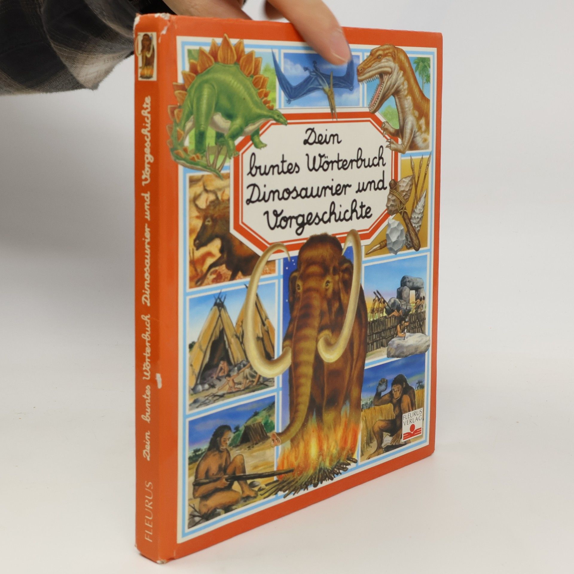 Émilie Beaumont Dein buntes Wörterbuch Dinosaurier und Vorgeschichte