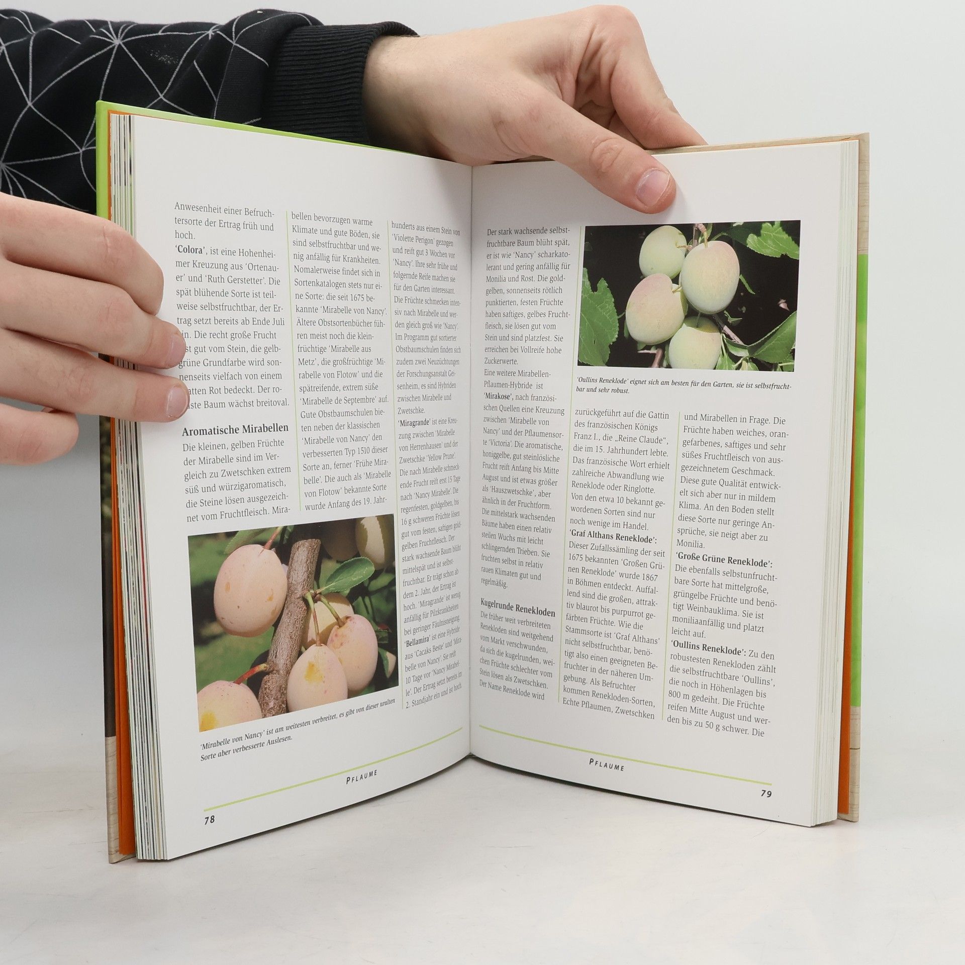Helga Buchter-Weisbrodt Garten Wissen: Handbuch Obstgarten
