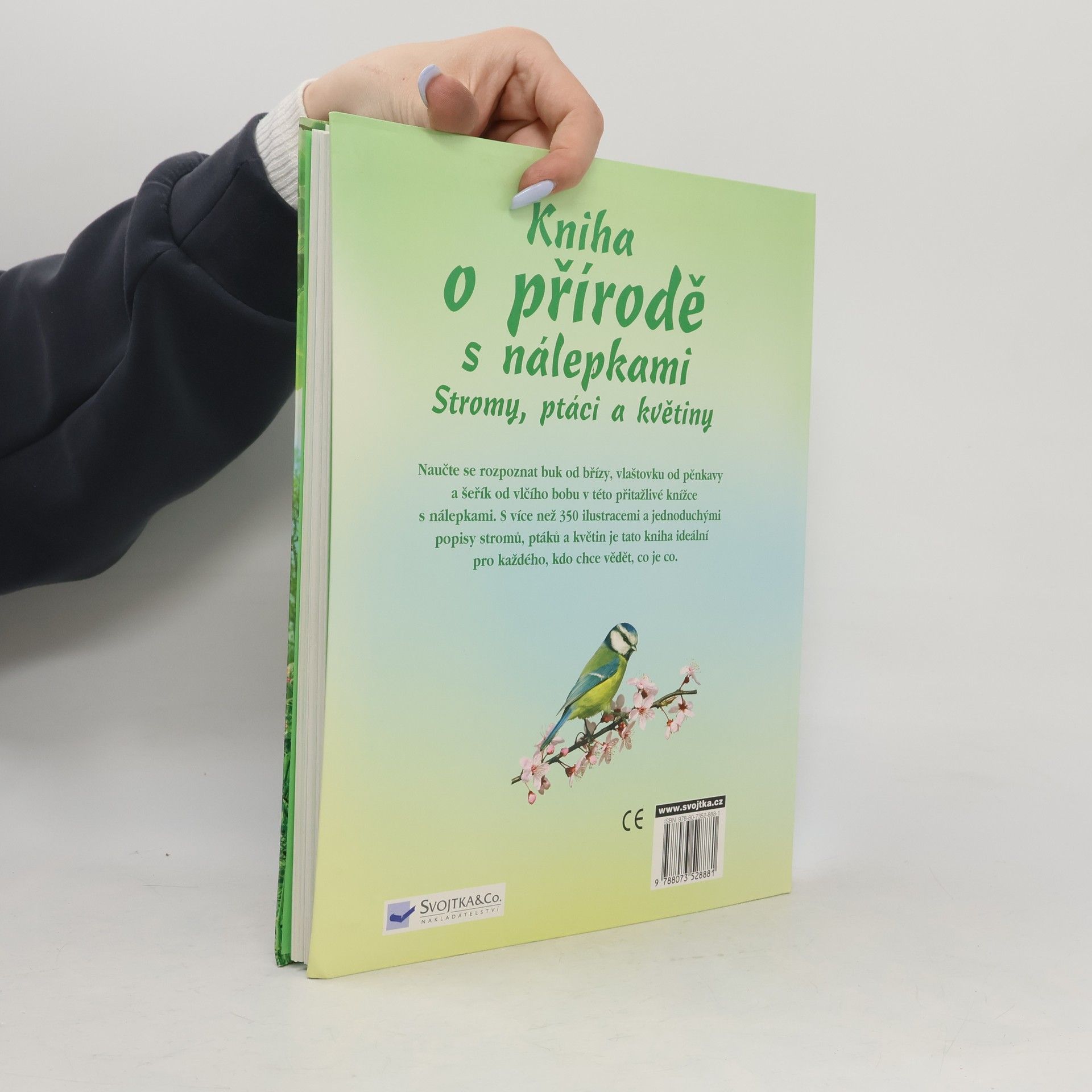 Jane Chisholm Kniha o přírodě s nálepkami : stromy, ptáci a květiny
