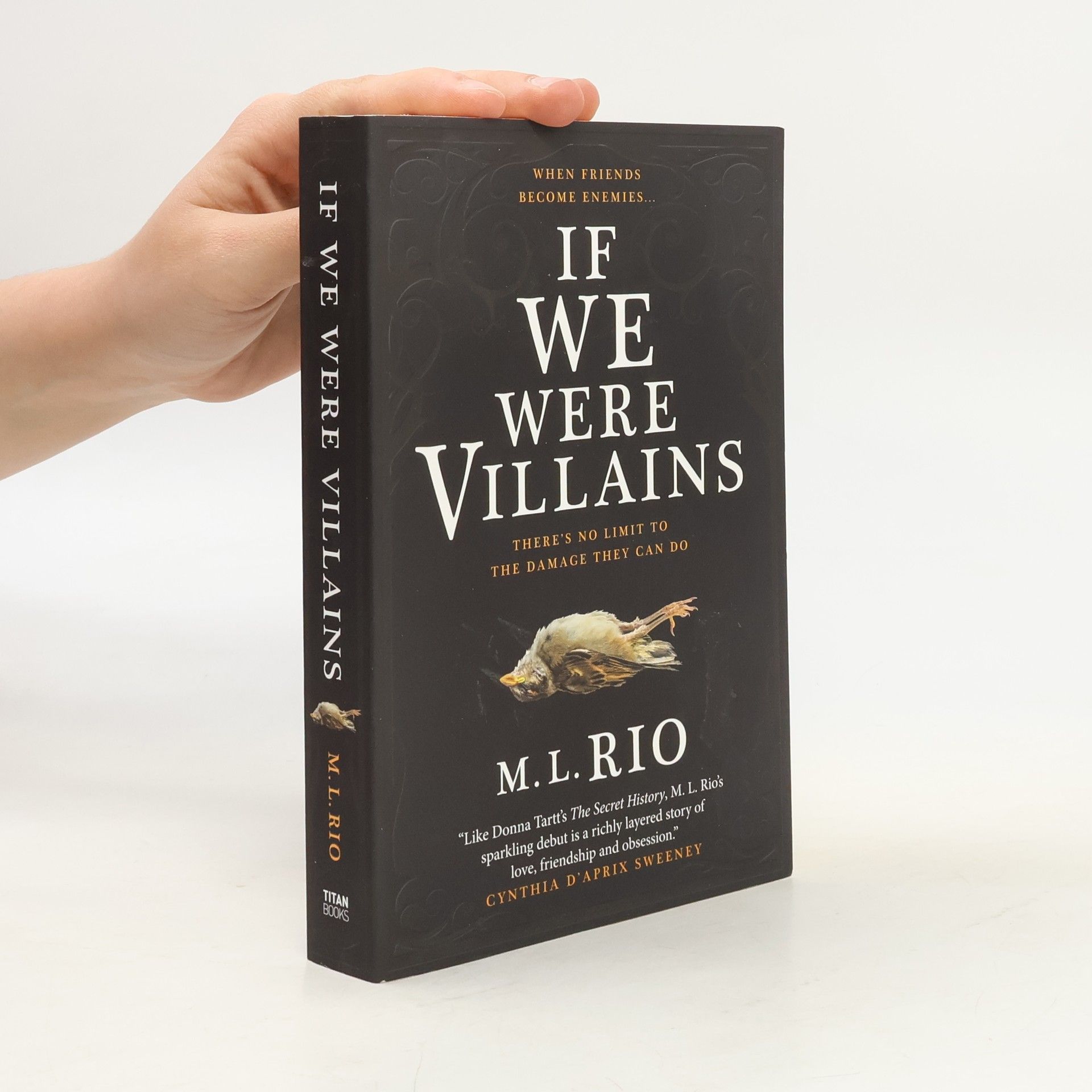 M. L. Rio If We Were Villains